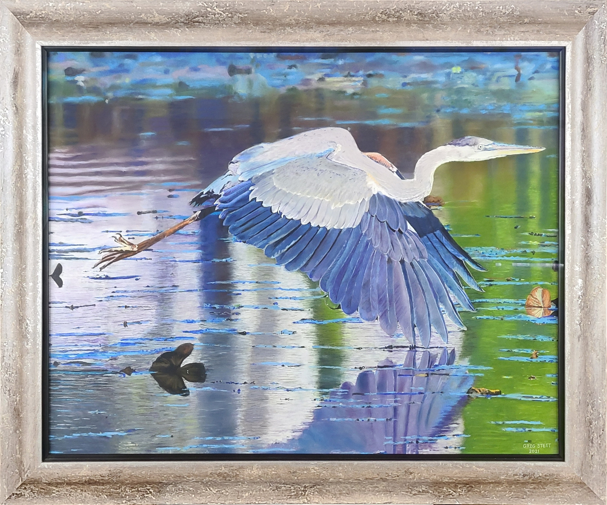 Swooping heron framed zfrhpi