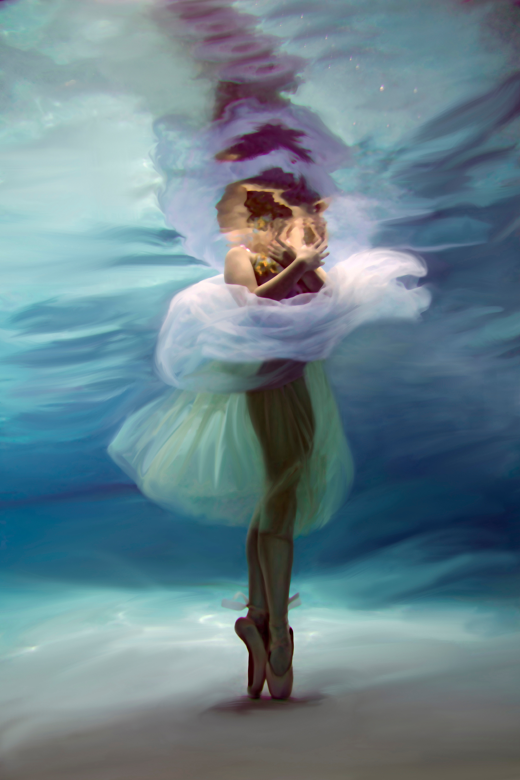 Suzanne barton en pointe 24x36 infused on metal 2500 bpfitm