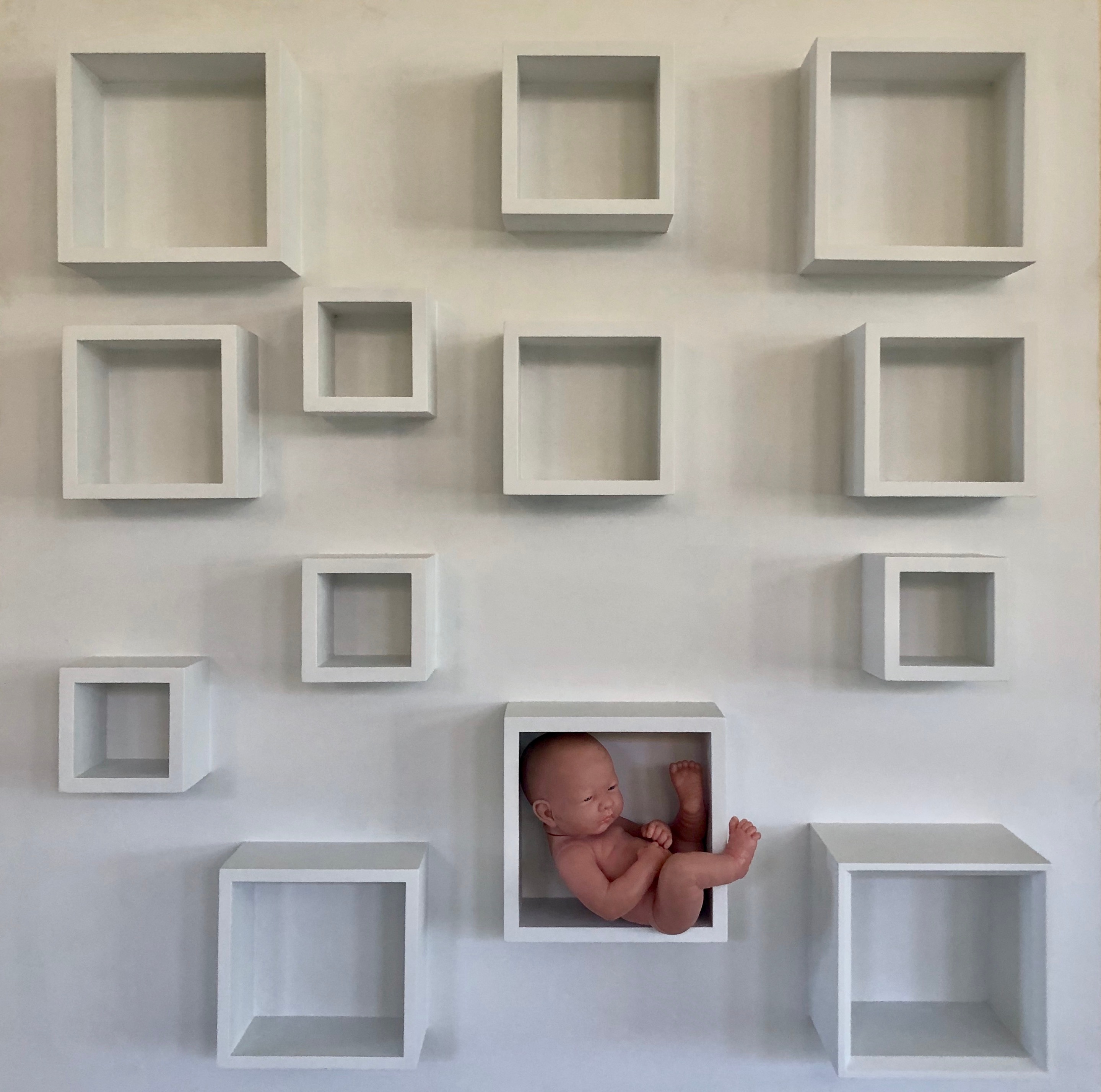 Barbara ziev classification wood assemblage 42 x 42 2500. holrpp