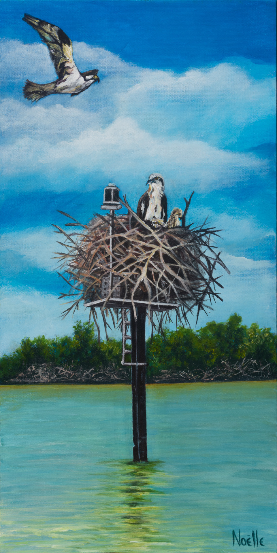 Noelle mccarthy home sweet osprey acrylic 12x24 475.00 wicit9