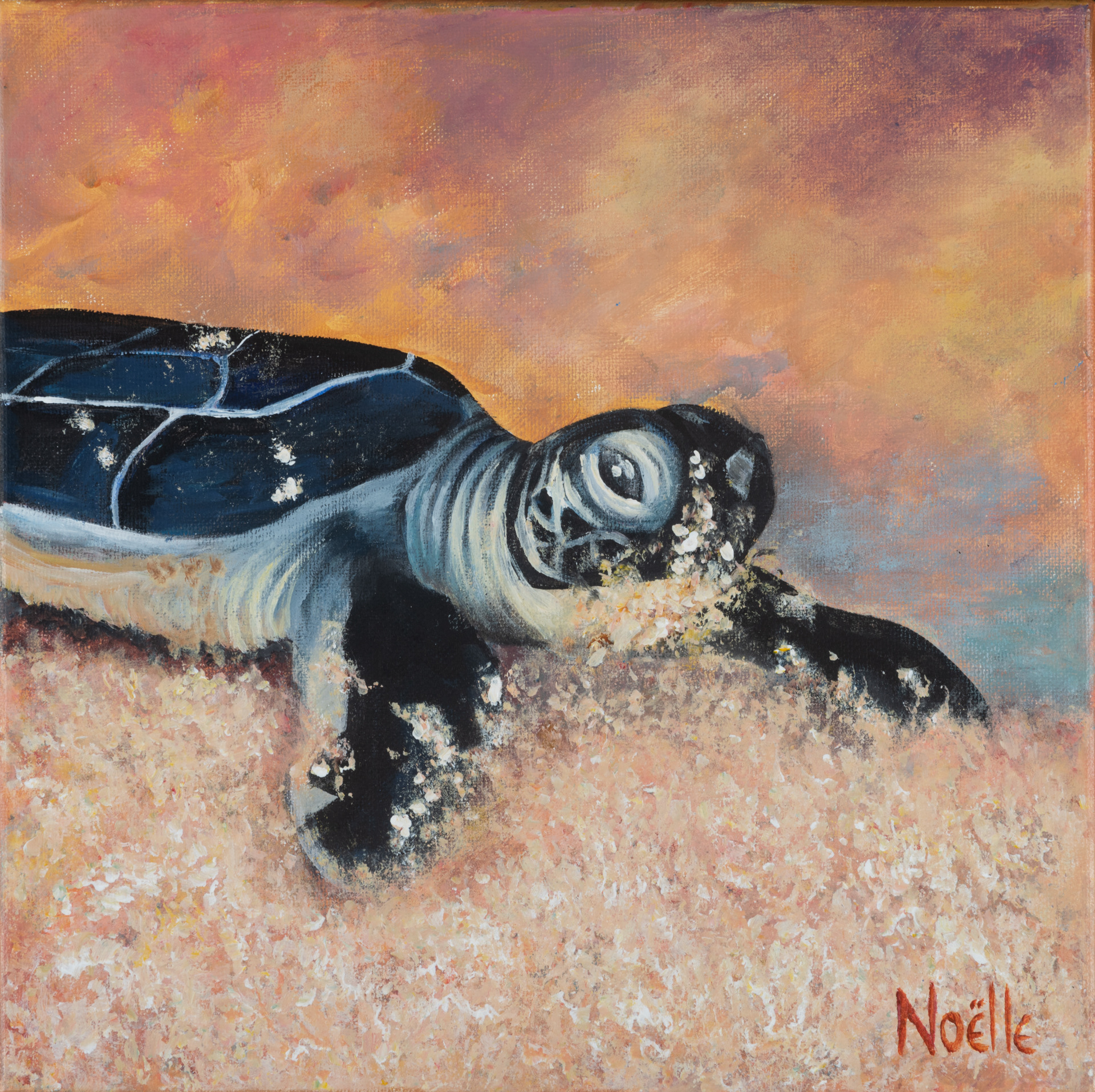 Noelle mccarthy turtle determined acrylic 12x12 230 ek9b4r