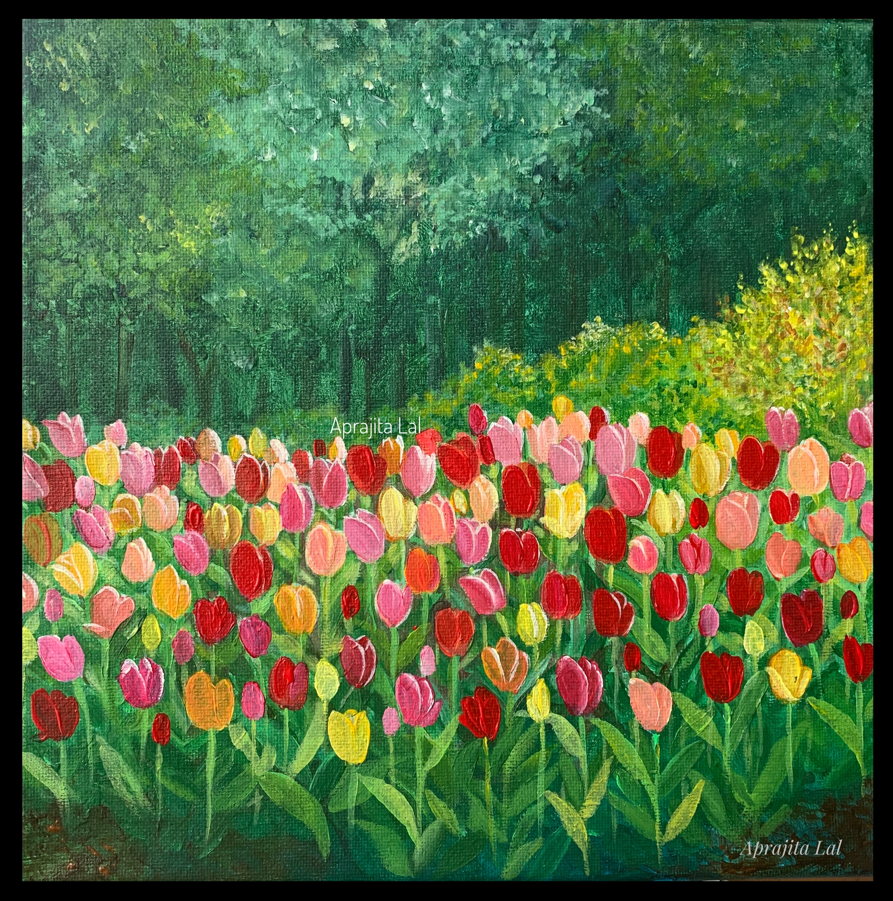 Tulipgarden wm j6mmnq