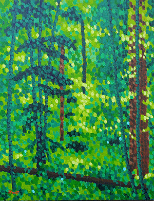 Summer sunlight in the woods minhnd