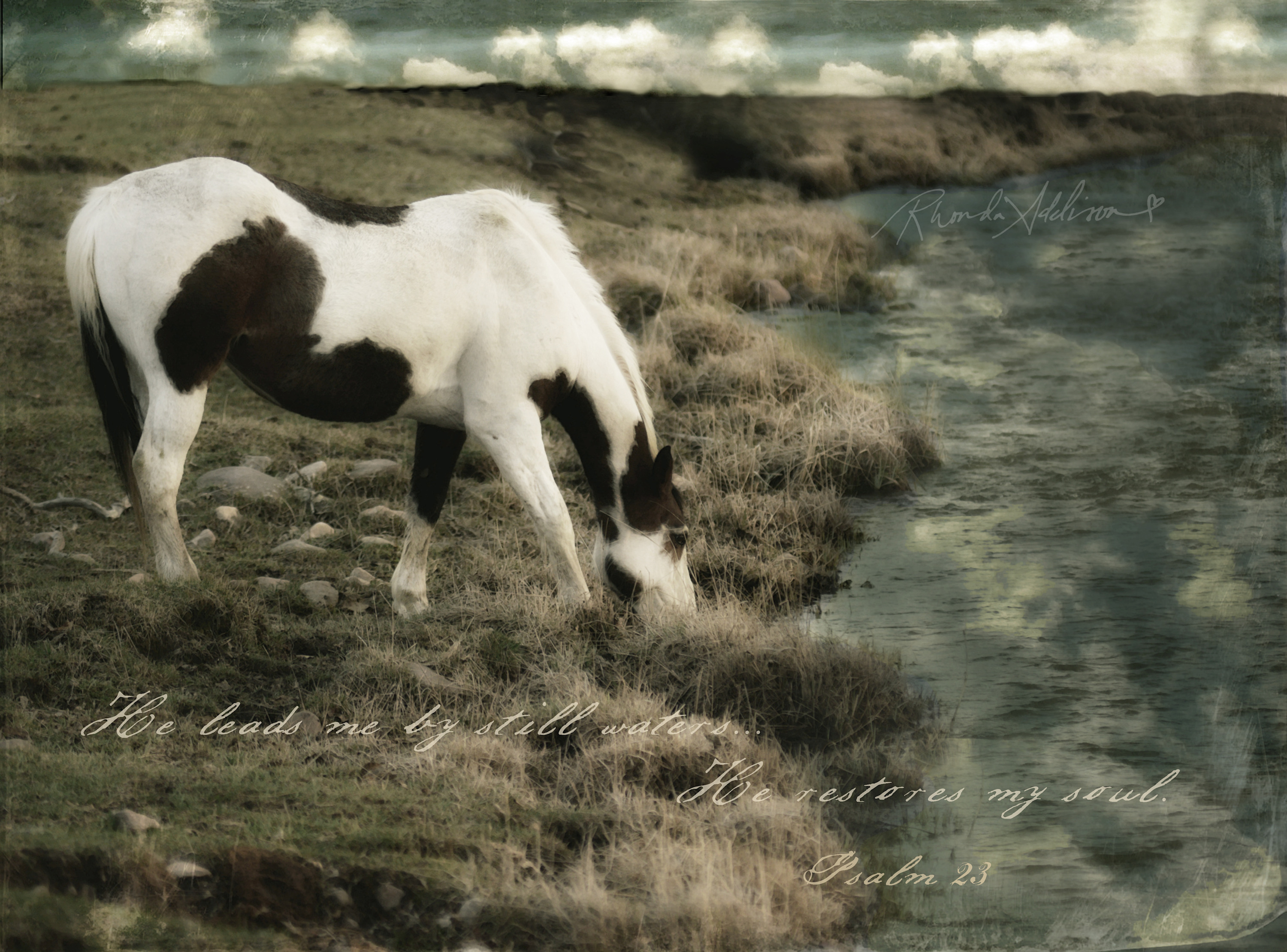 Horse at water v s pjdo64