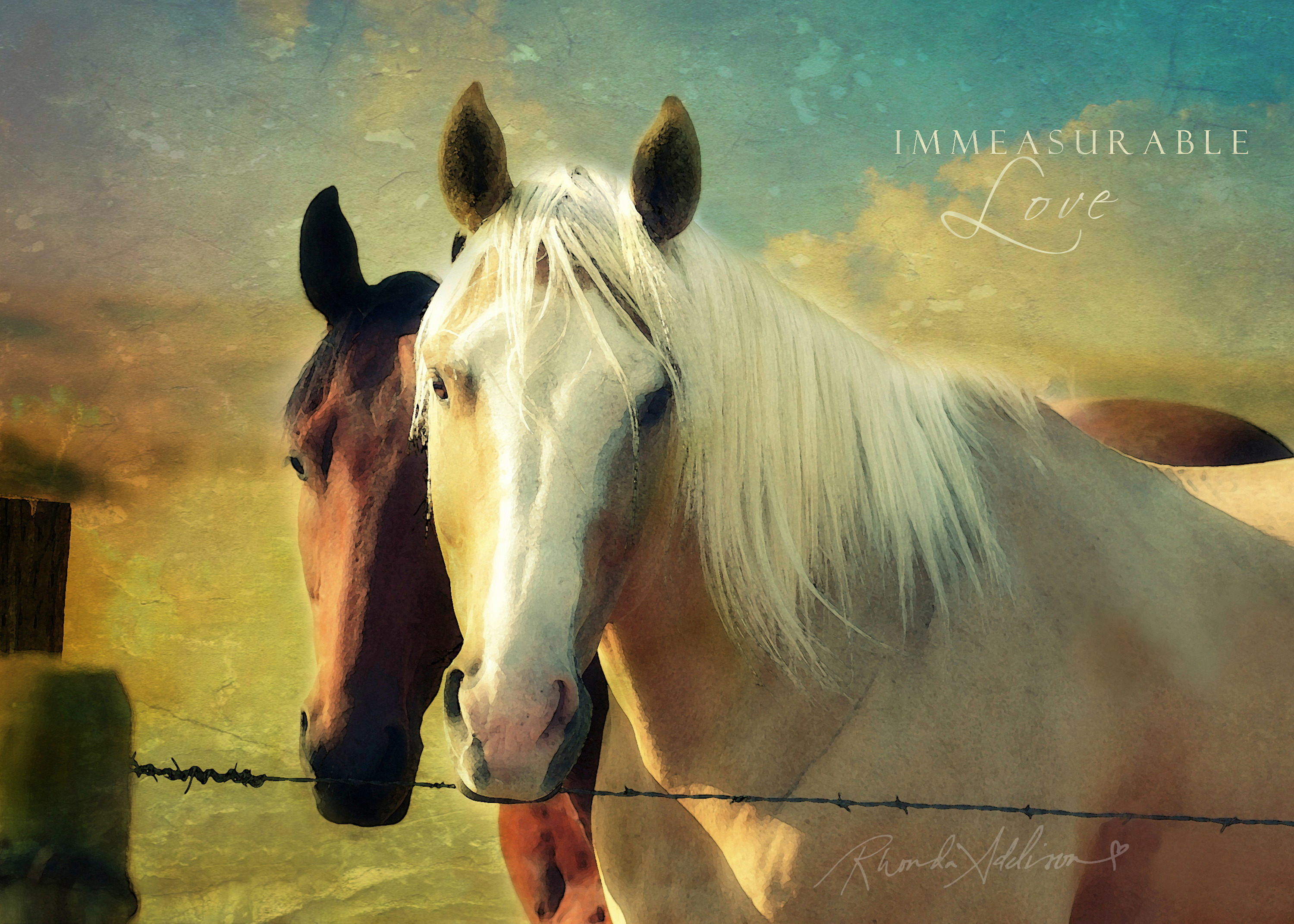 Horses 2 v s pyokya