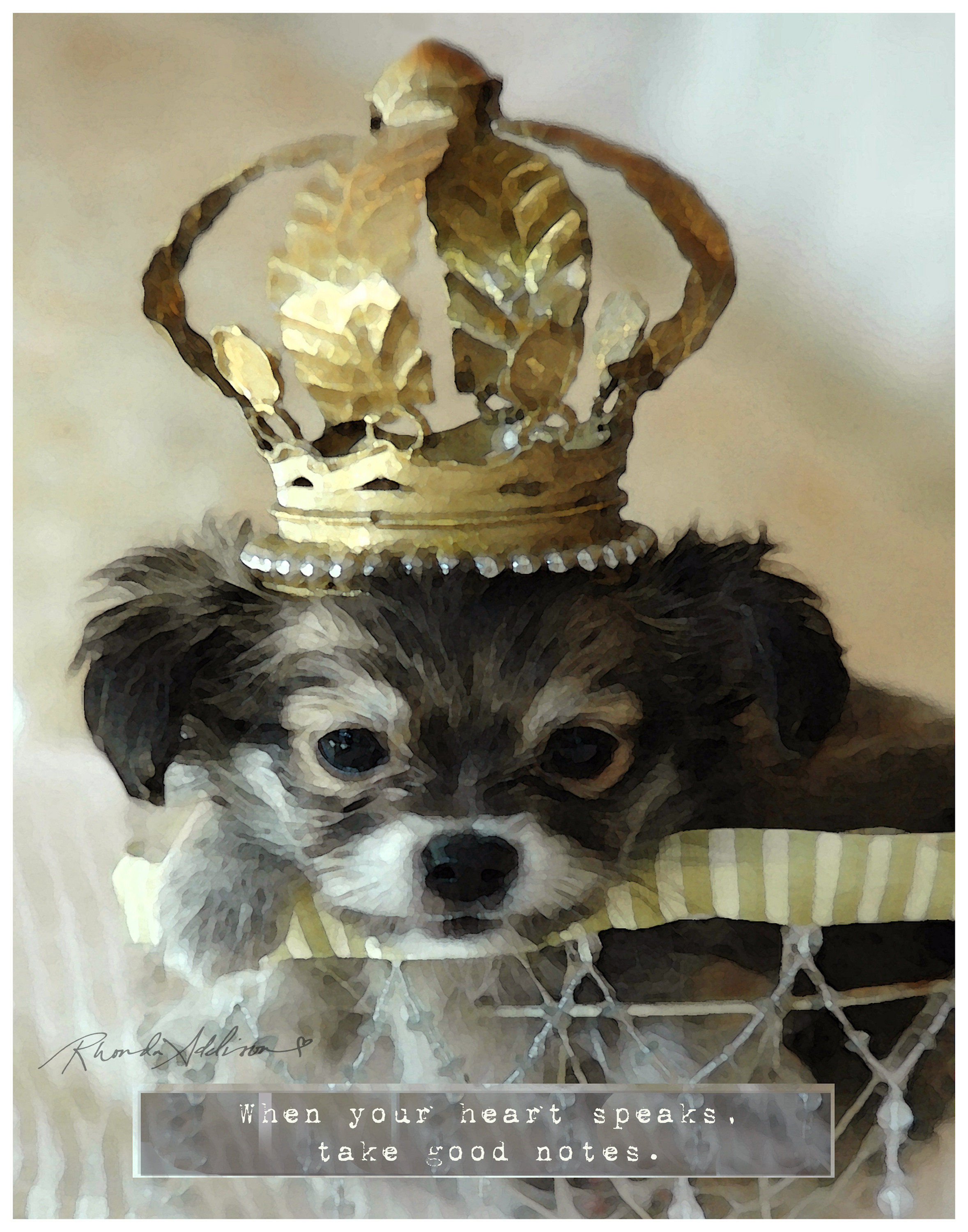 Puppy crown v s yn523l