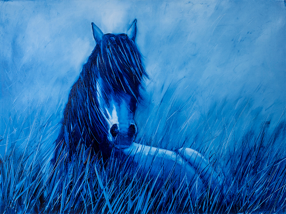 Rest in blue arowan 40x30lr krndna