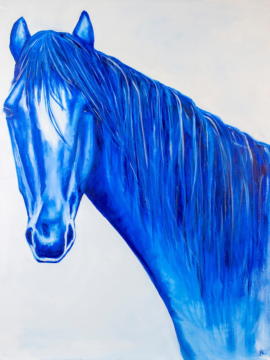 Big blue arowan 30x40lr pmb8cm