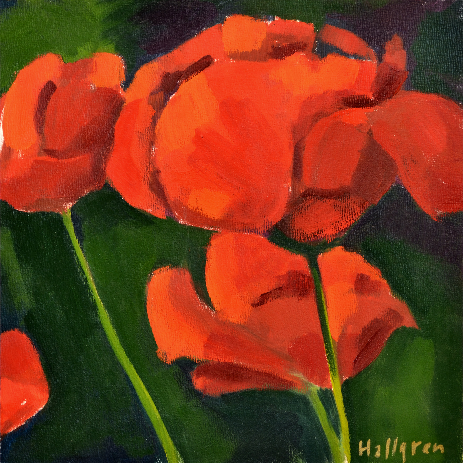 Hallgren minibmf poppy 8x8 200dpi b7lseo