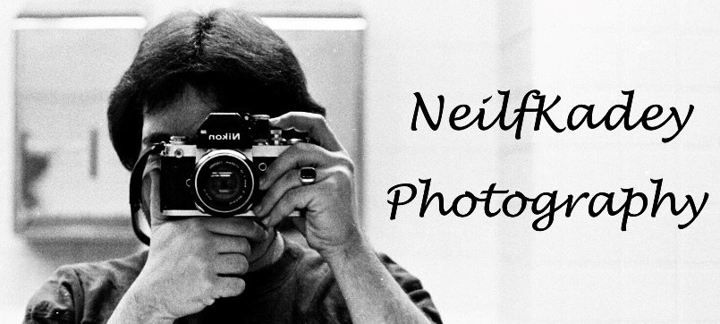 neilkadey