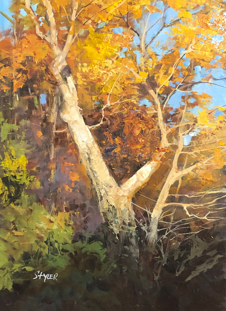Fall maple 12x16 vo15ho