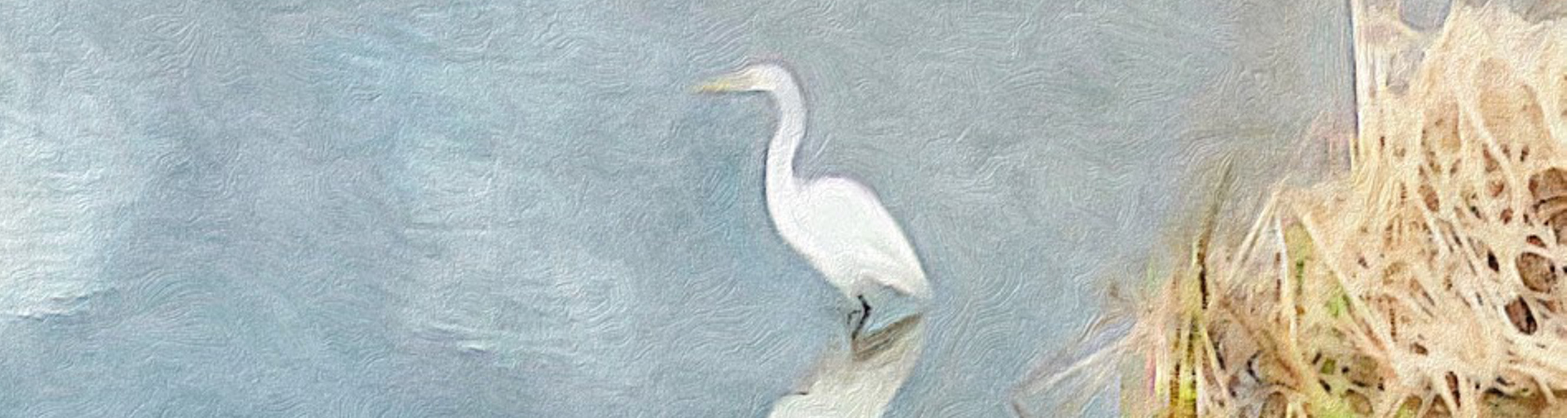 
        <div class='title'>
          egret resized
        </div>
       