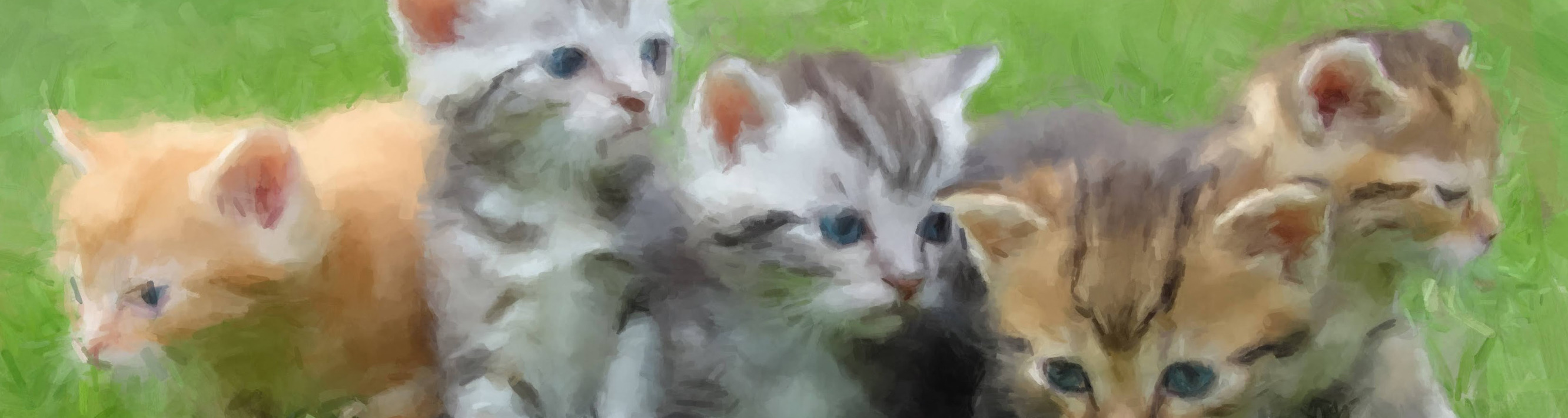 
        <div class='title'>
          kittens banner resized
        </div>
       