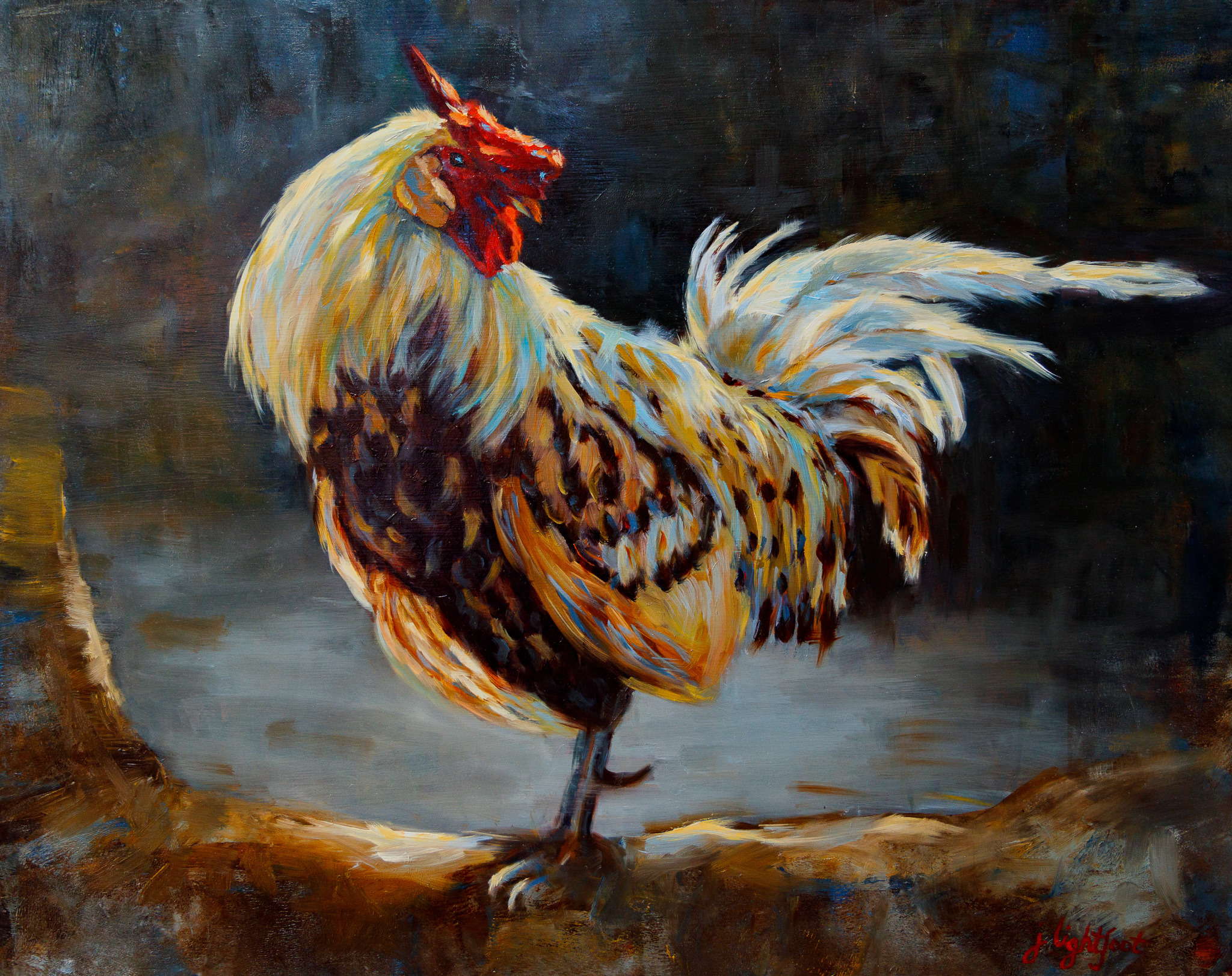 
        <div class='title'>
          0O9A7529
        </div>
       