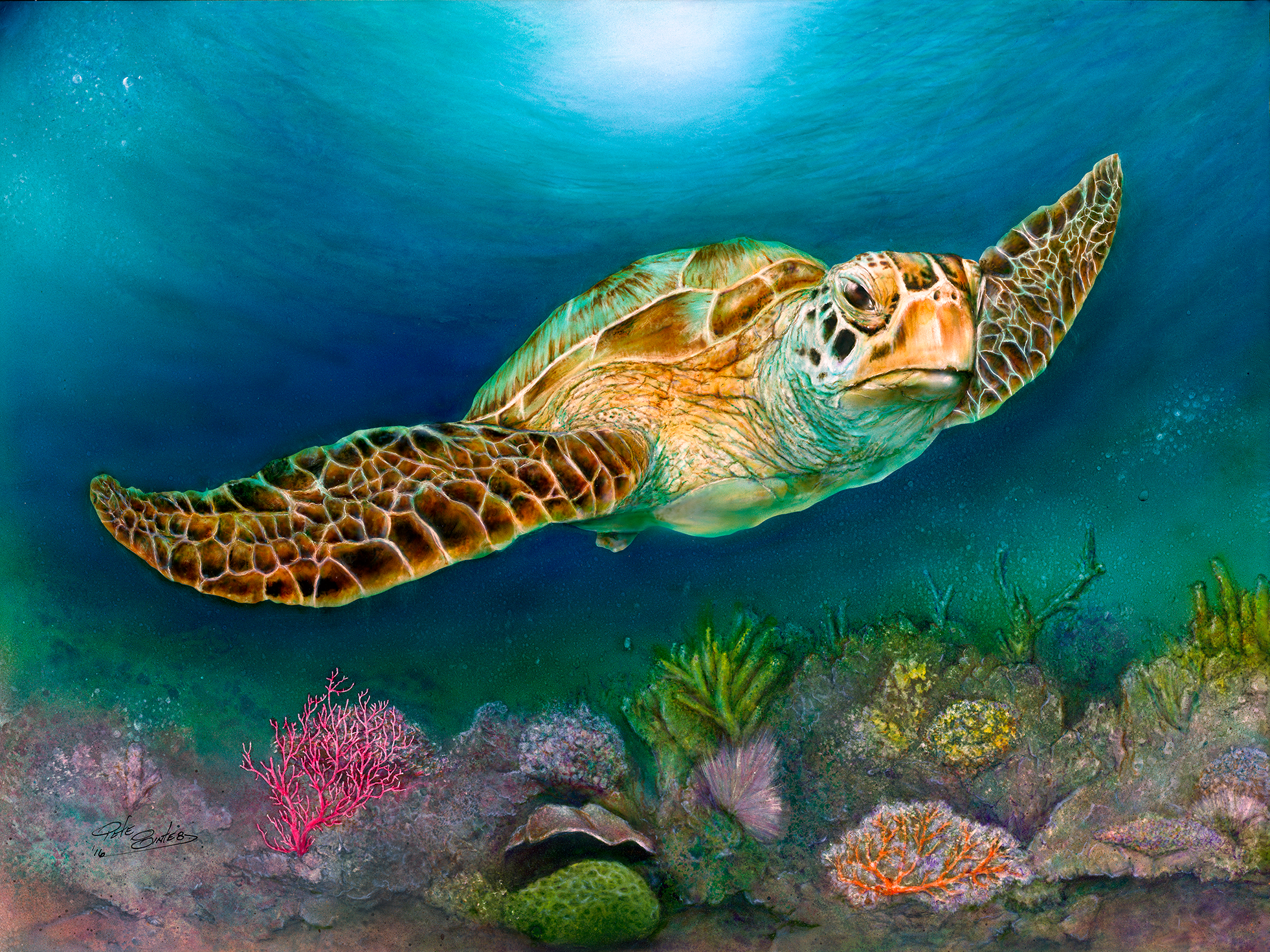 Sea turtle ii 0.54x riji5w