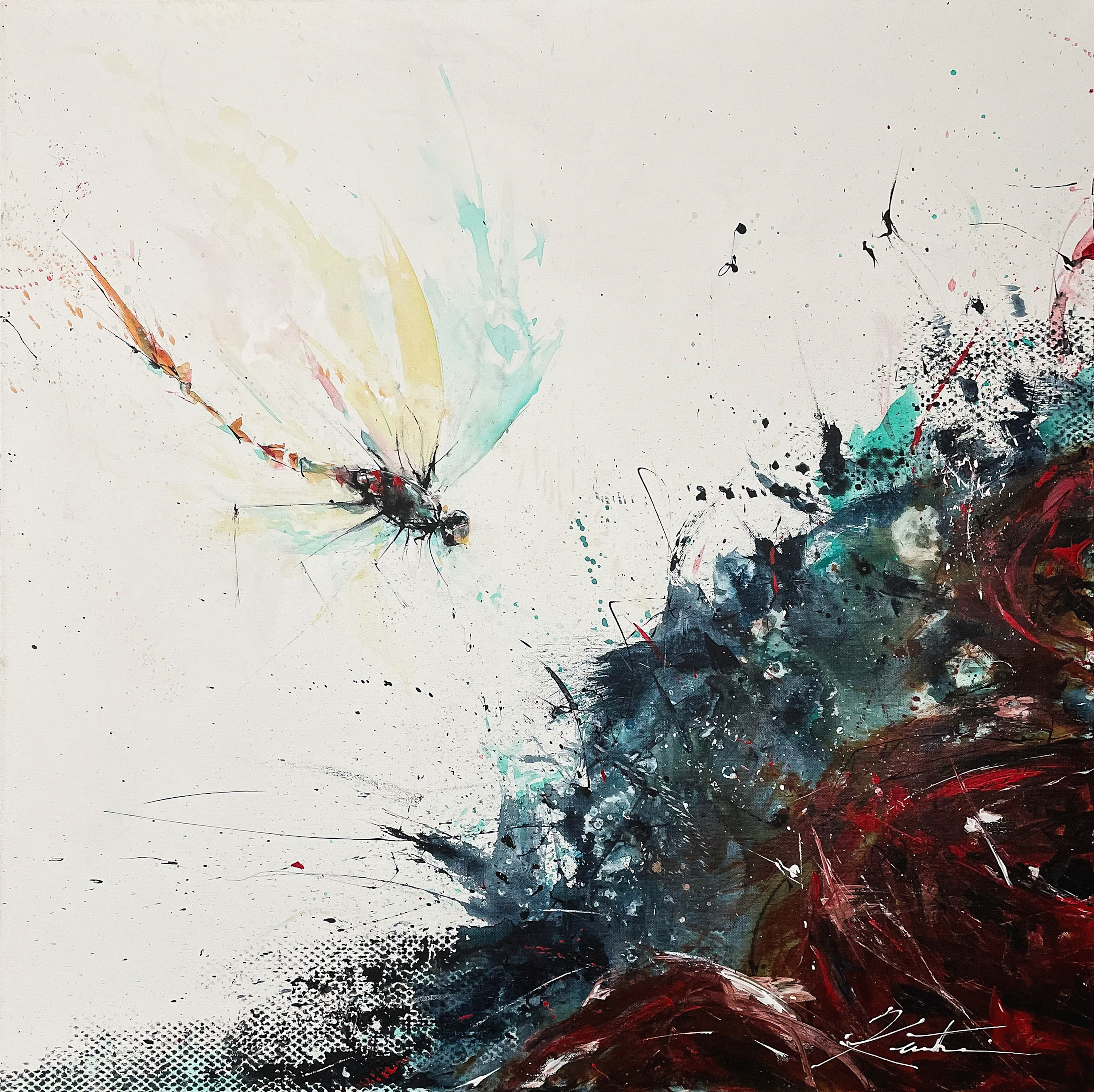 Dragonfly sgydgu