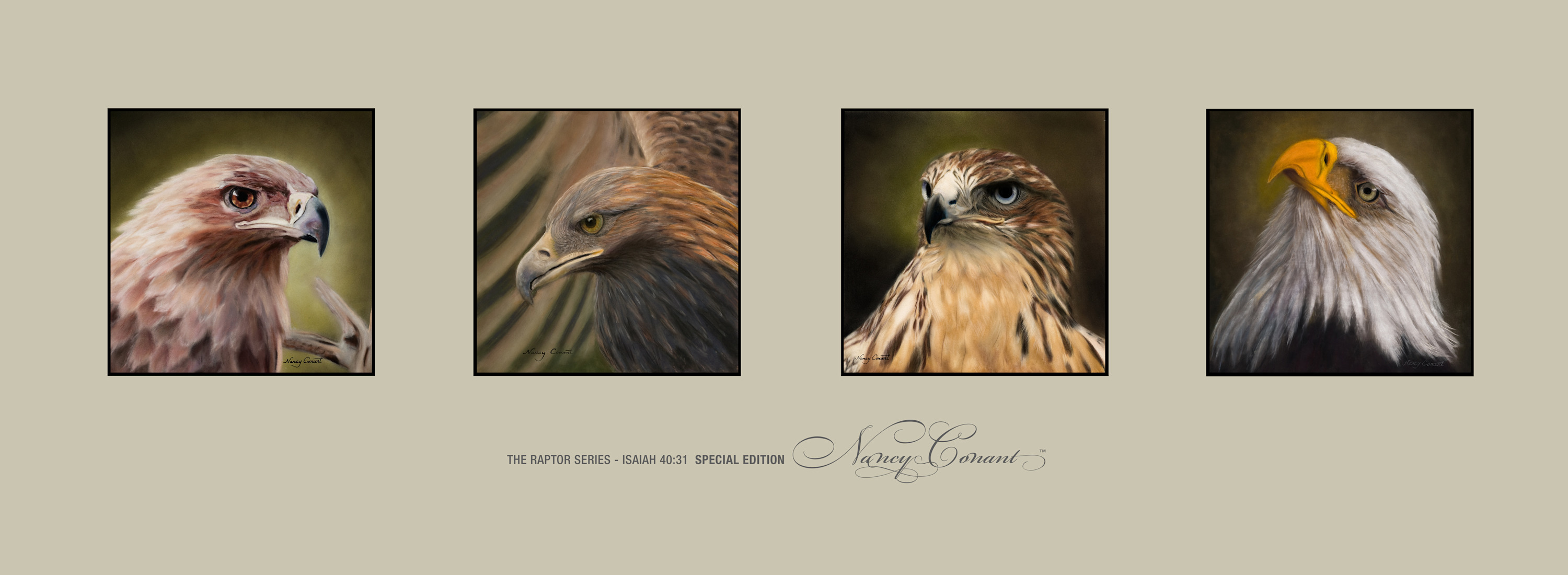 Nancy conant   the raptor series special edition orig self jcwxot