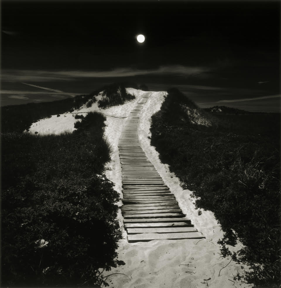 Moonlit path to the beach dj6e6t