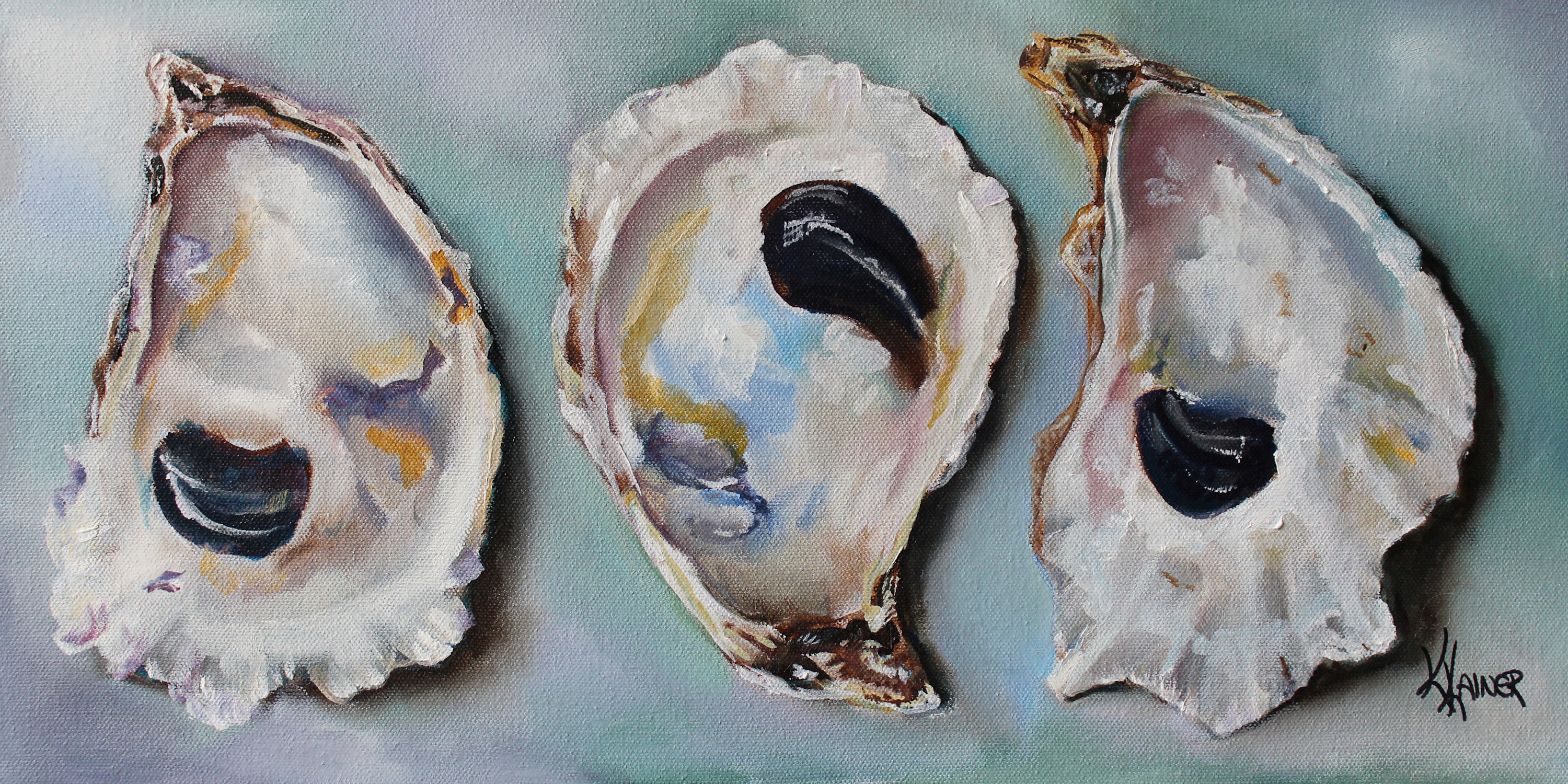 Bay oyster shells 20x10 bp2w9q