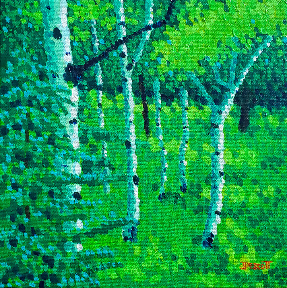Trees along the path rhe5uc