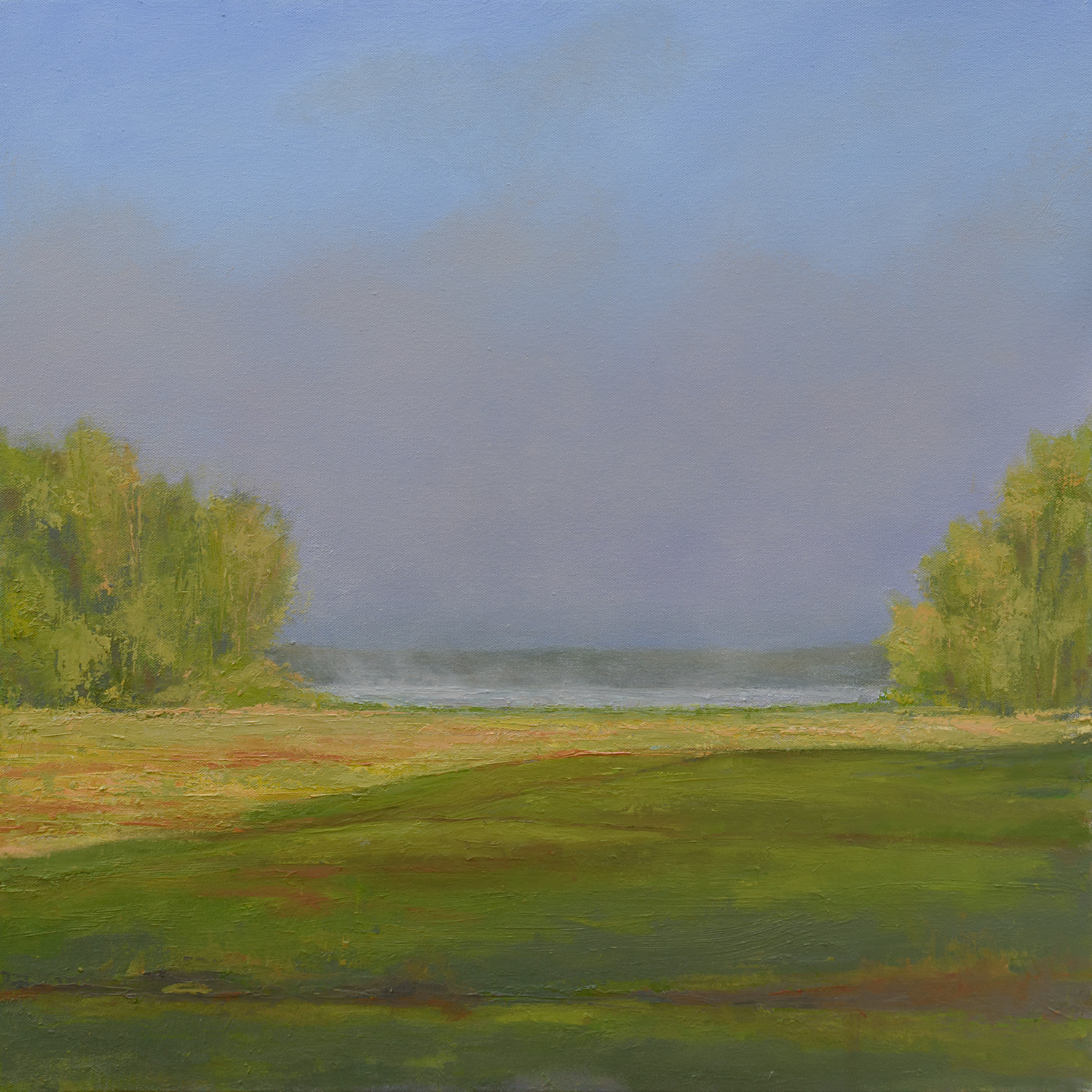 Fog on the bog s5tf8u