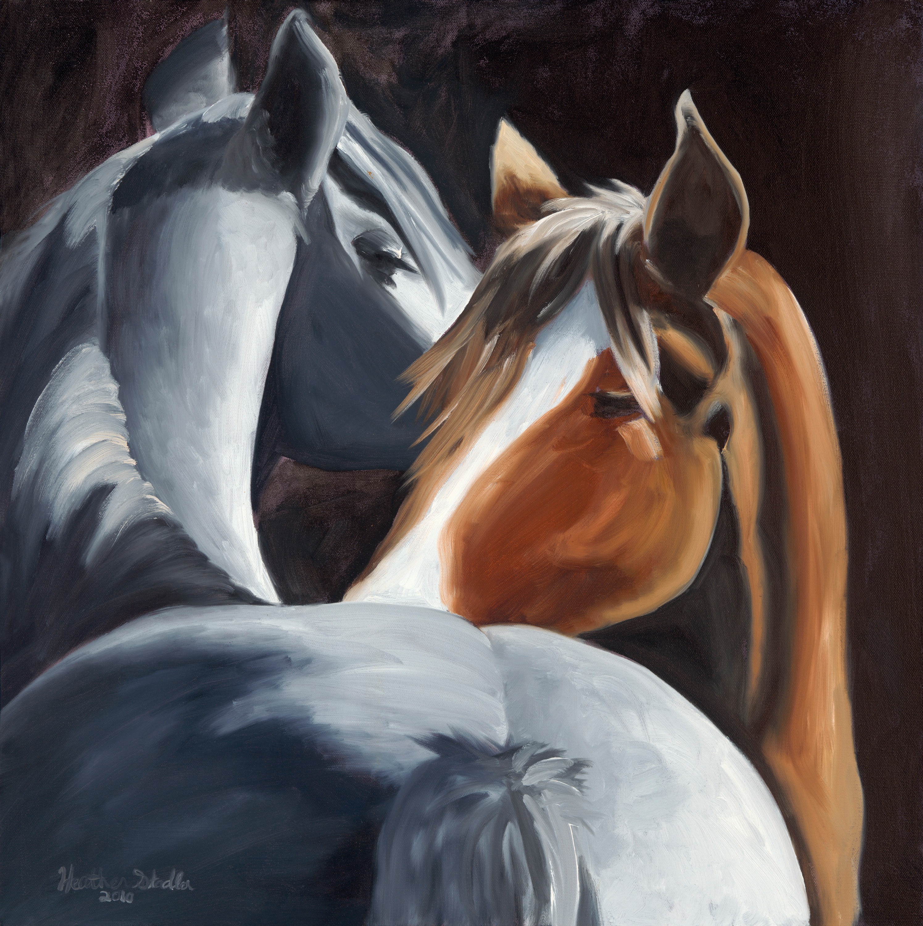 Horses tqoowx