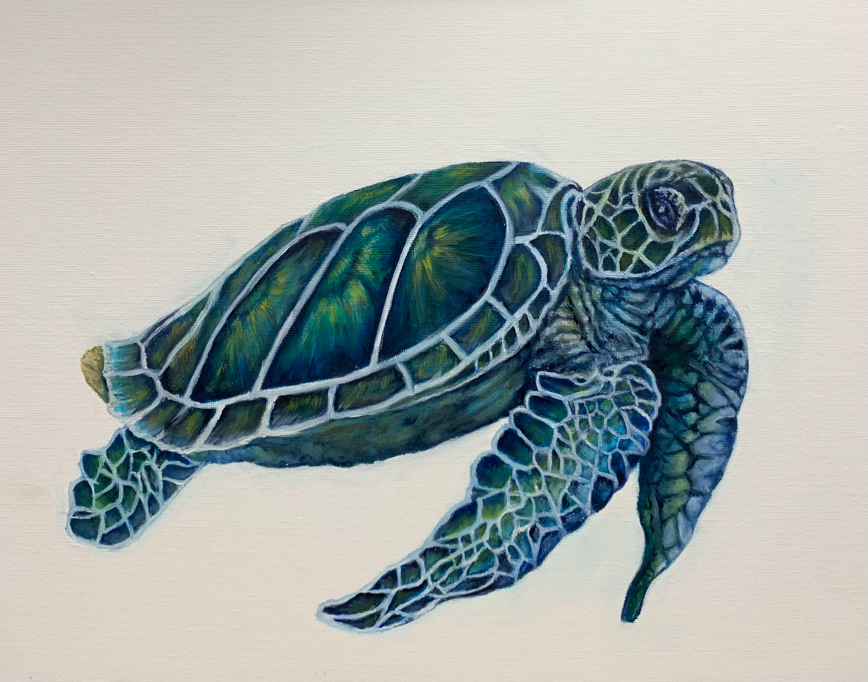 Turtle blues frfwiq