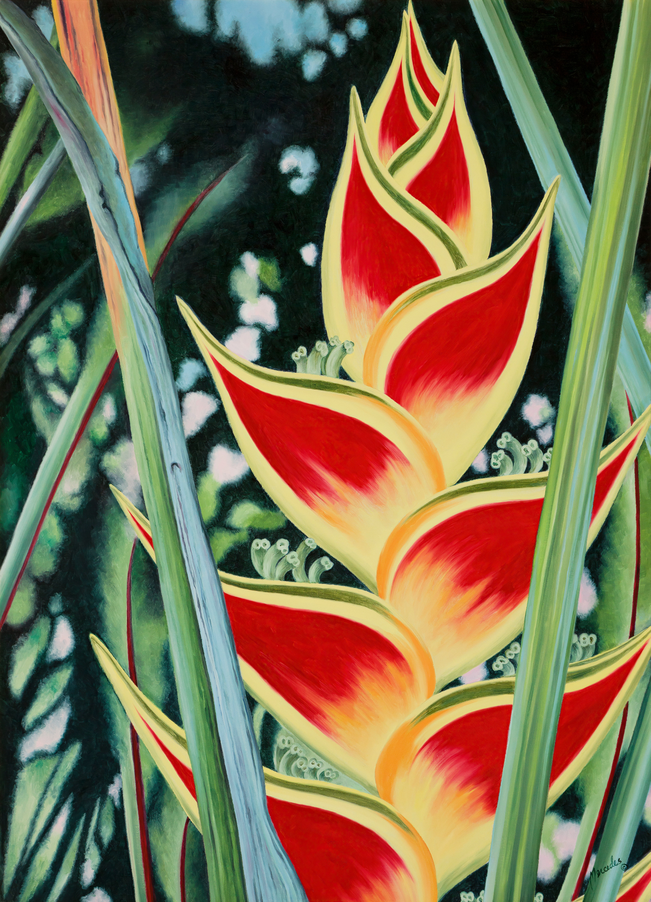 Heliconia 29a3699 small workedonbygail dt5eek