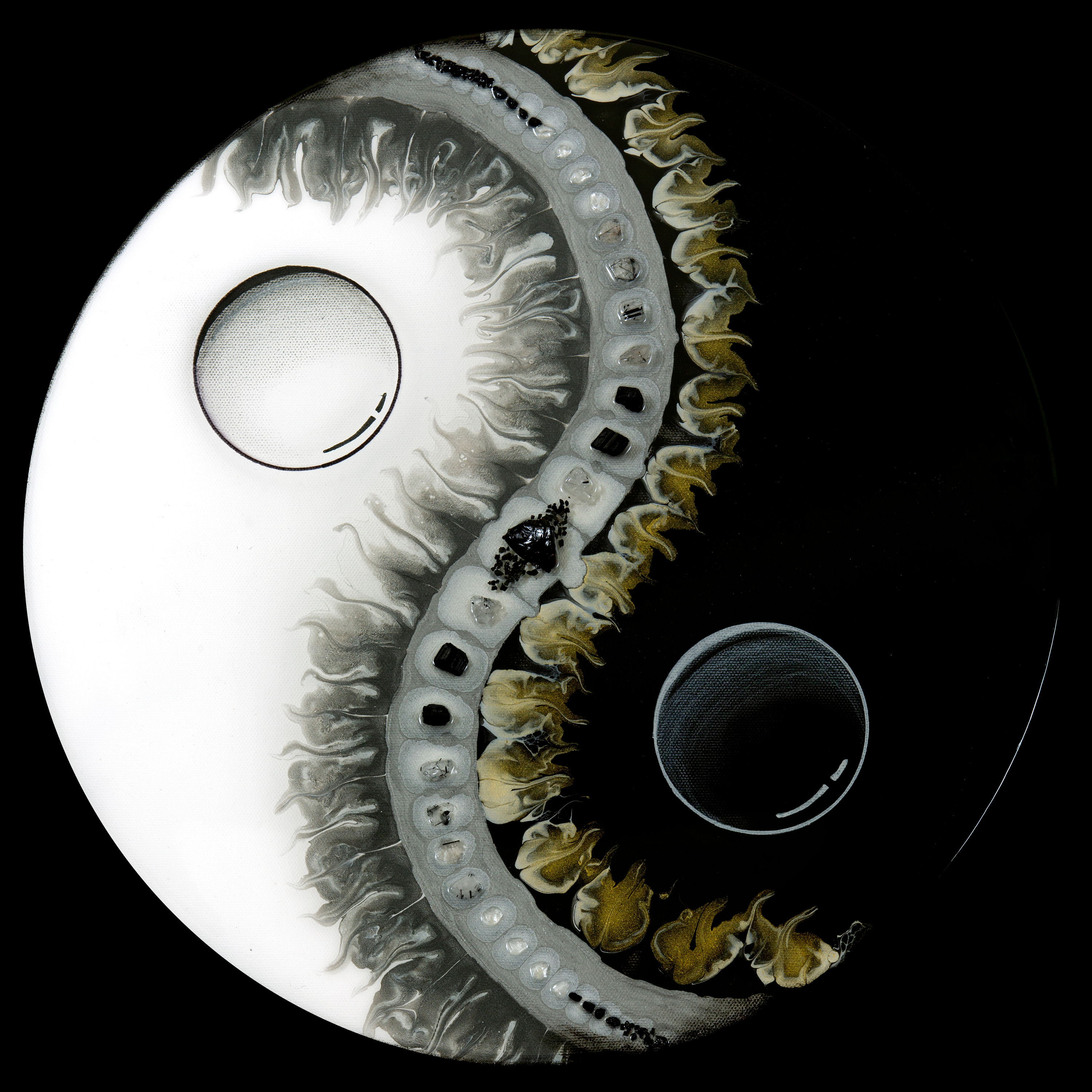 Am21p 021 snake yin yang wwtvo2