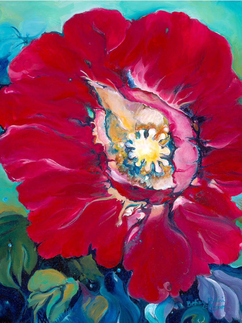 Red poppy giclee print on paper by bettina madini 21x15.75  nzasin