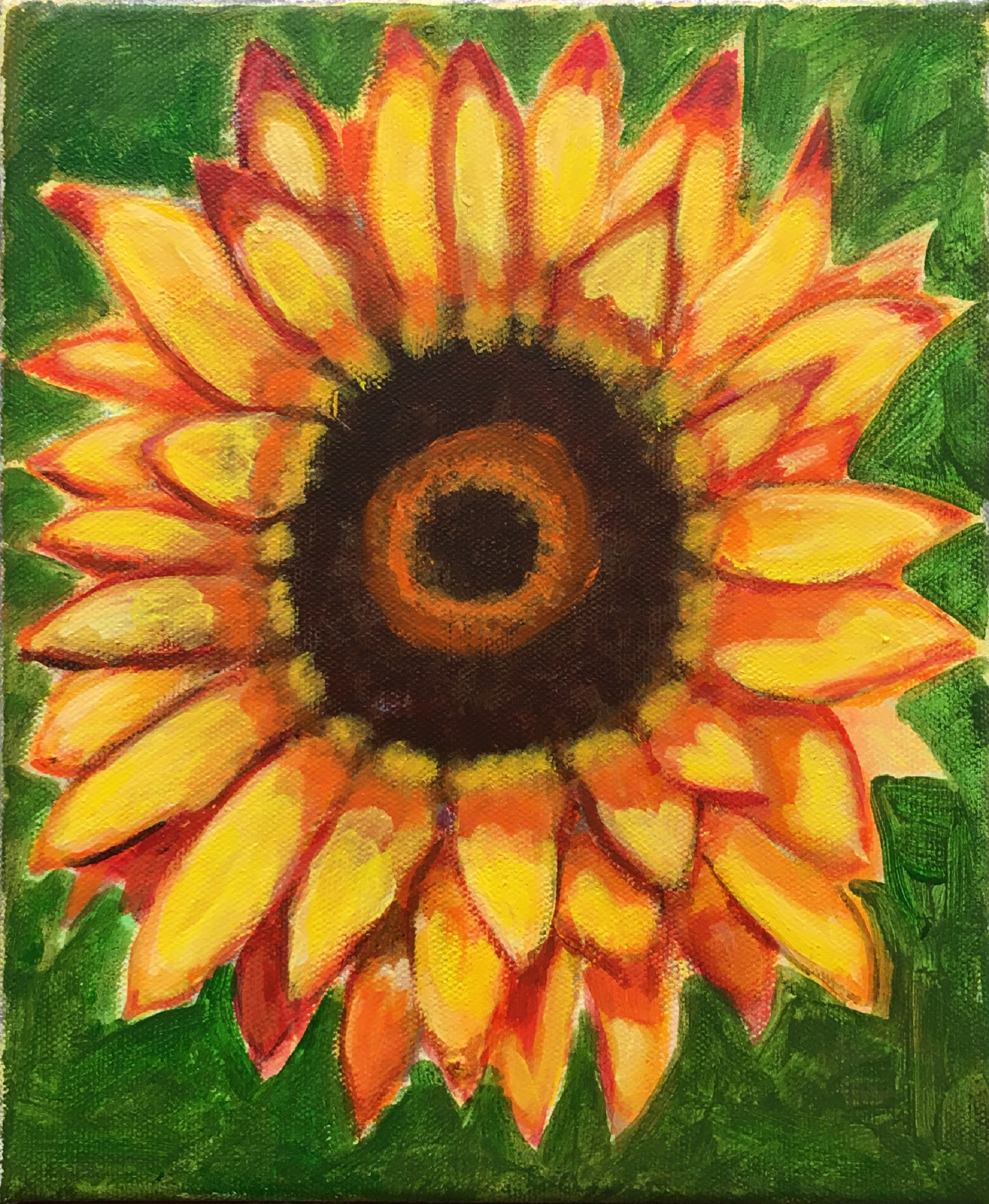 17 sunflower ohsana