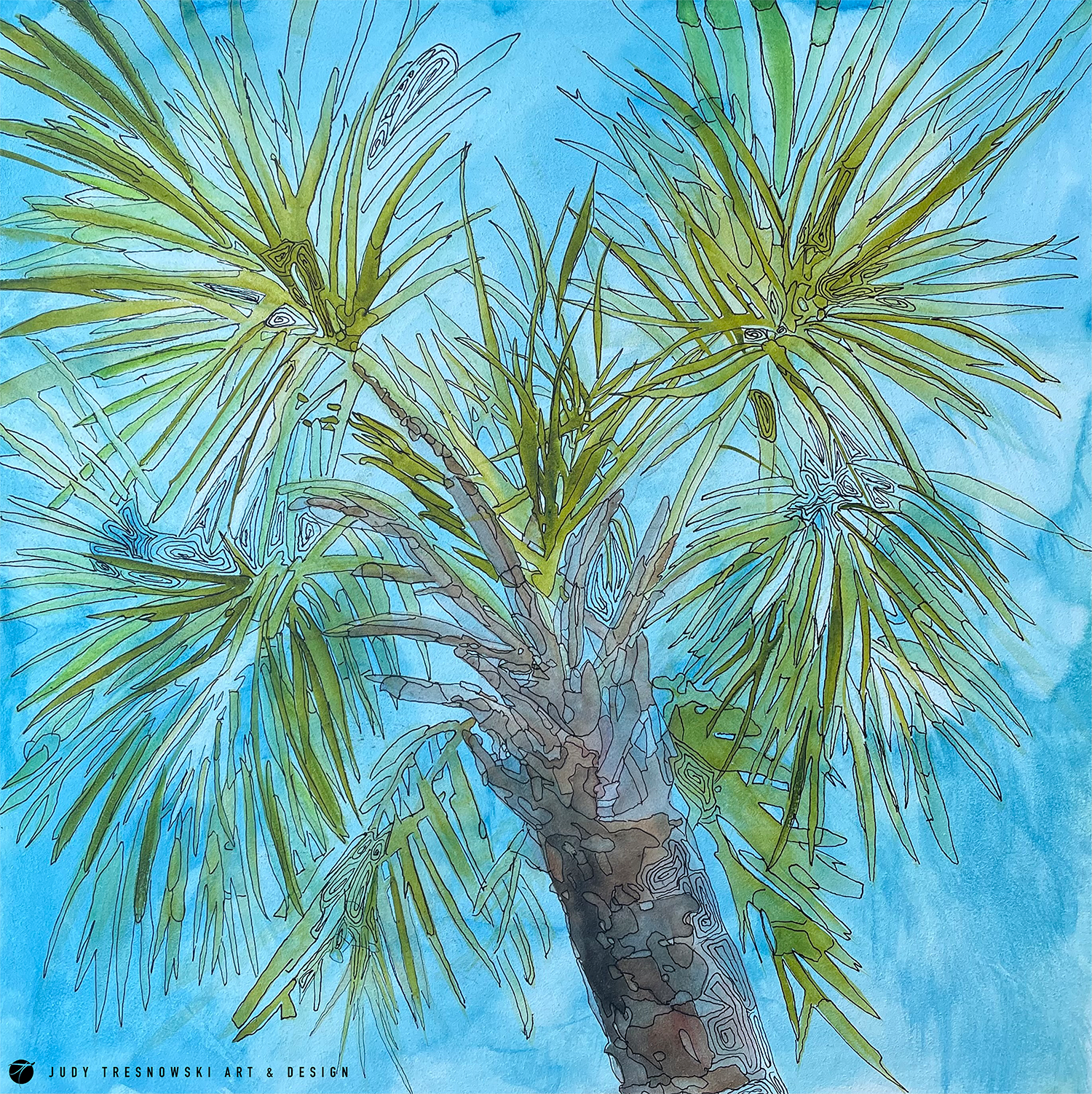 O west palm owkqy9