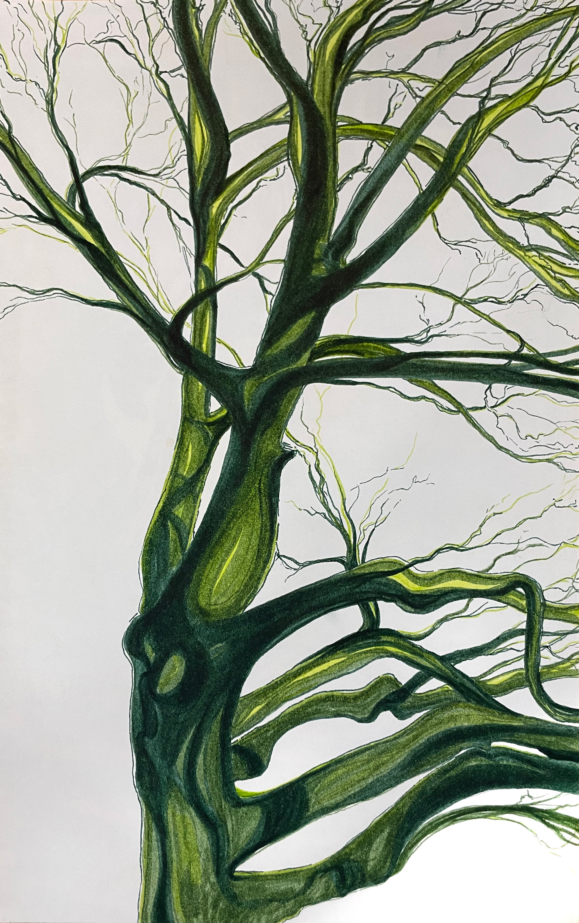 Greentree epcqvy