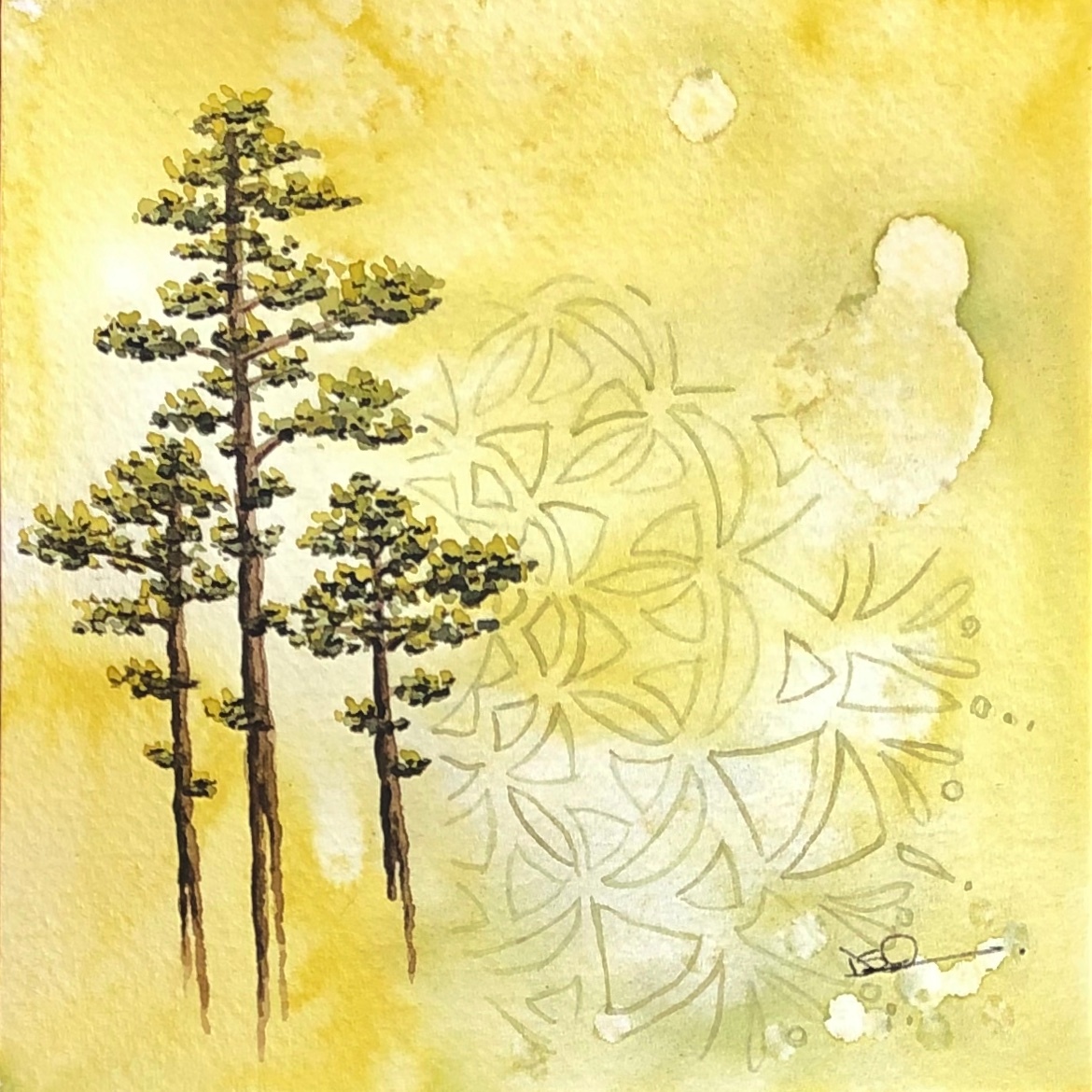 Primal longleaf pine trees df3kd2