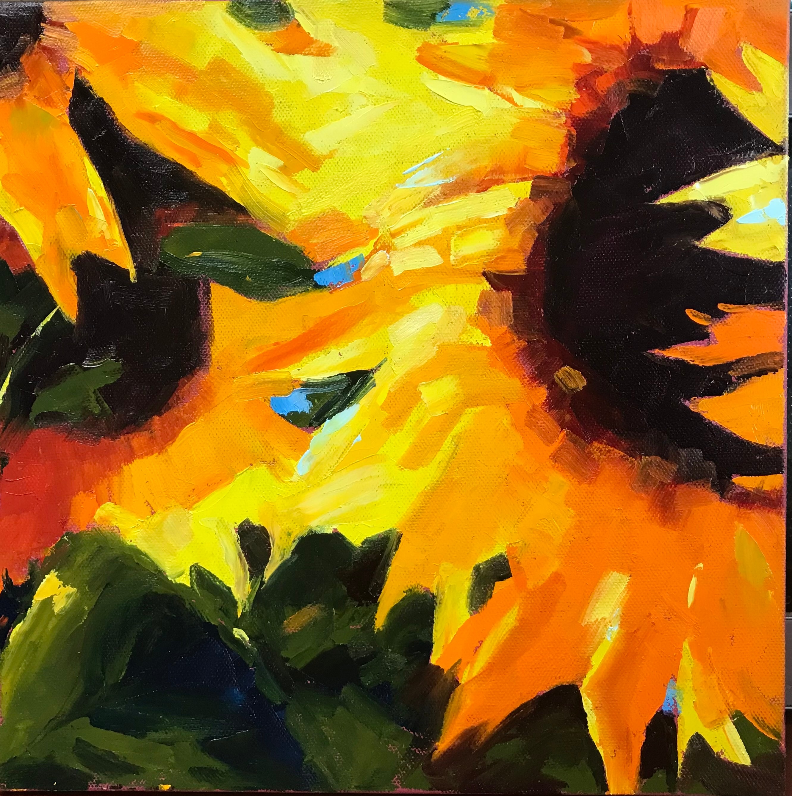 Sunflower 1 aj50fa