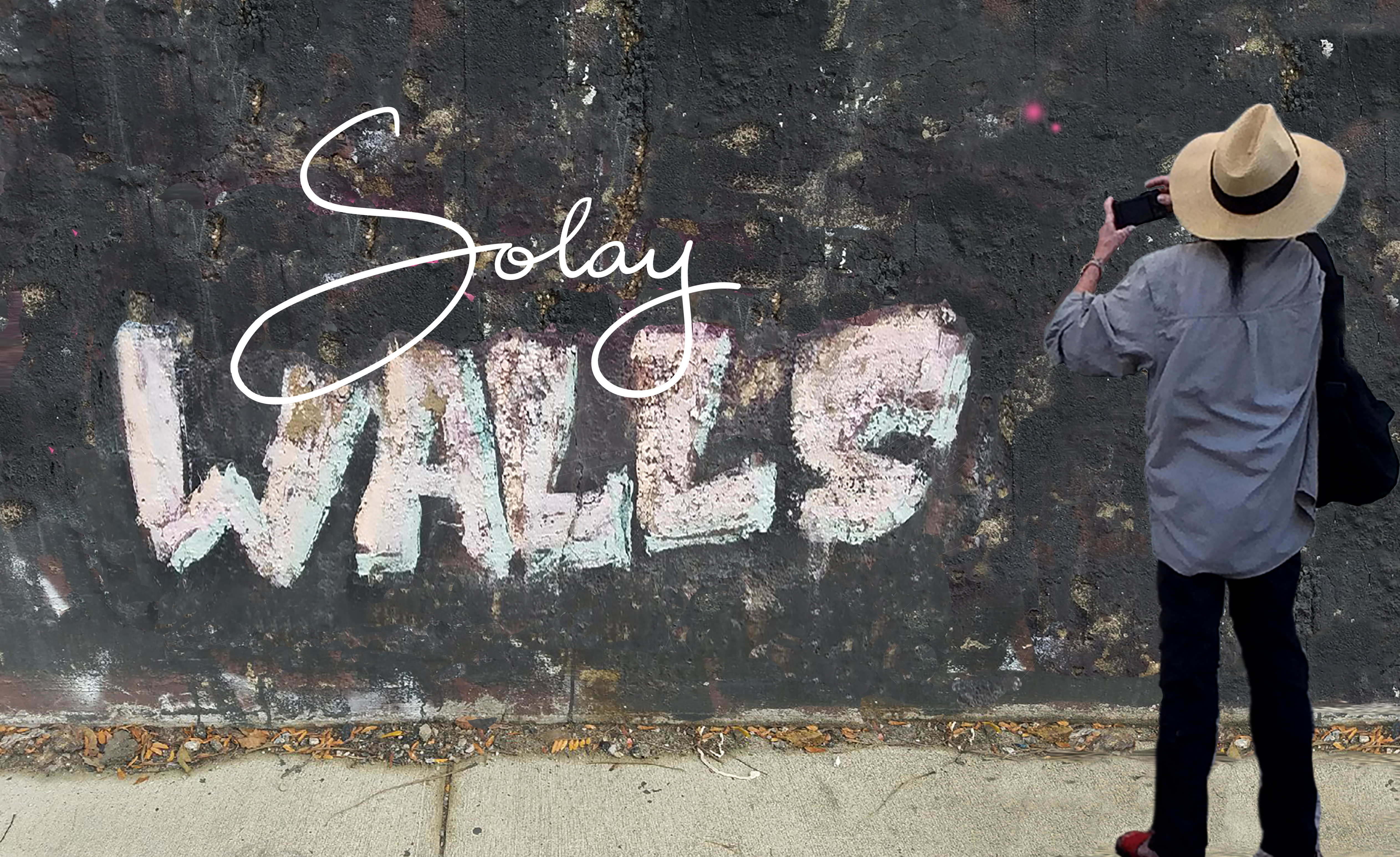 denise solay WALLS ON WALLS