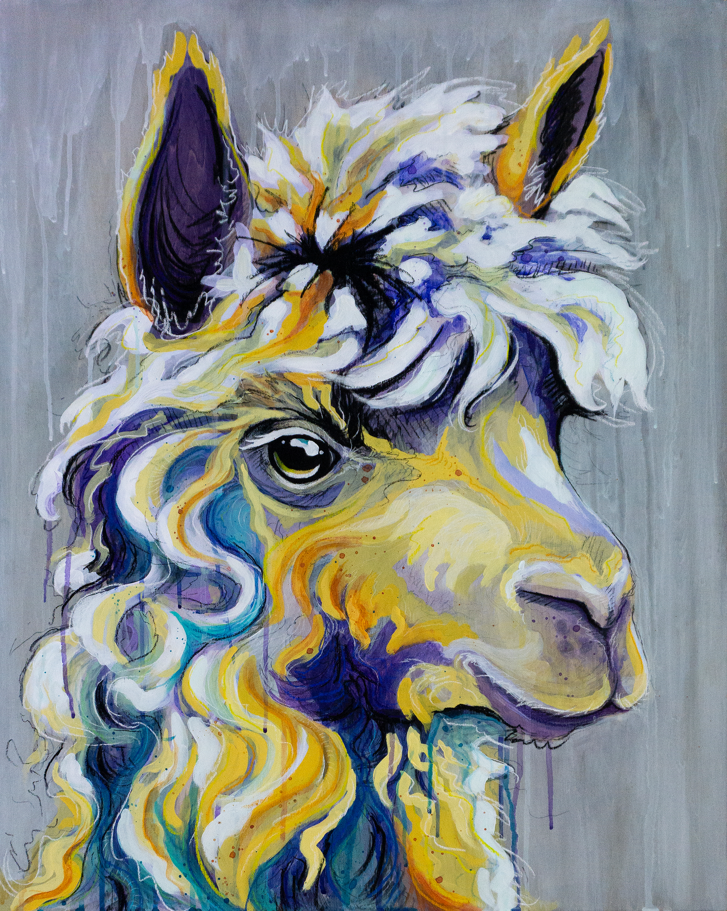 Colorful alpaca painting final original gjjzyv
