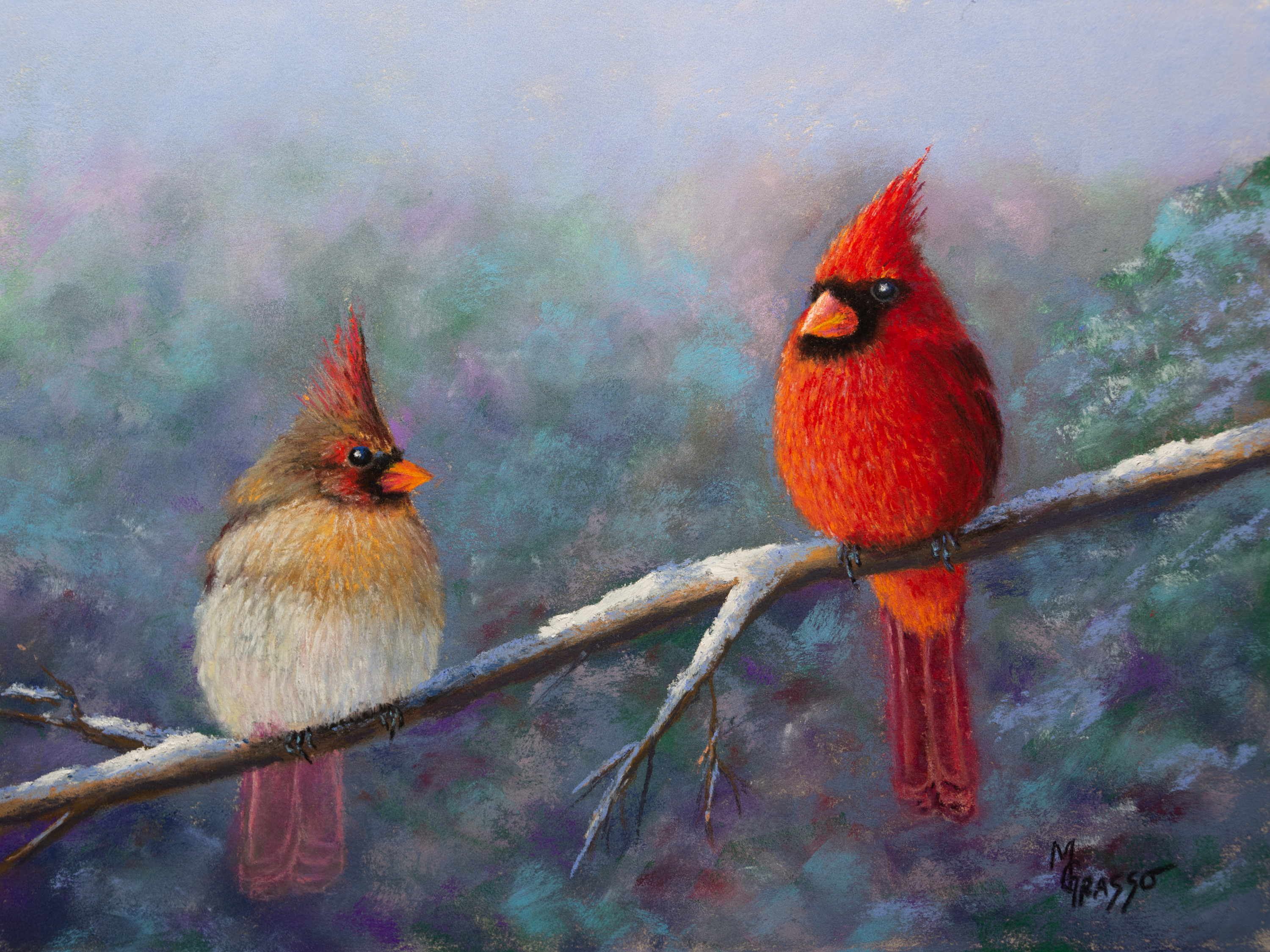 Winter cardinals med kri9xv