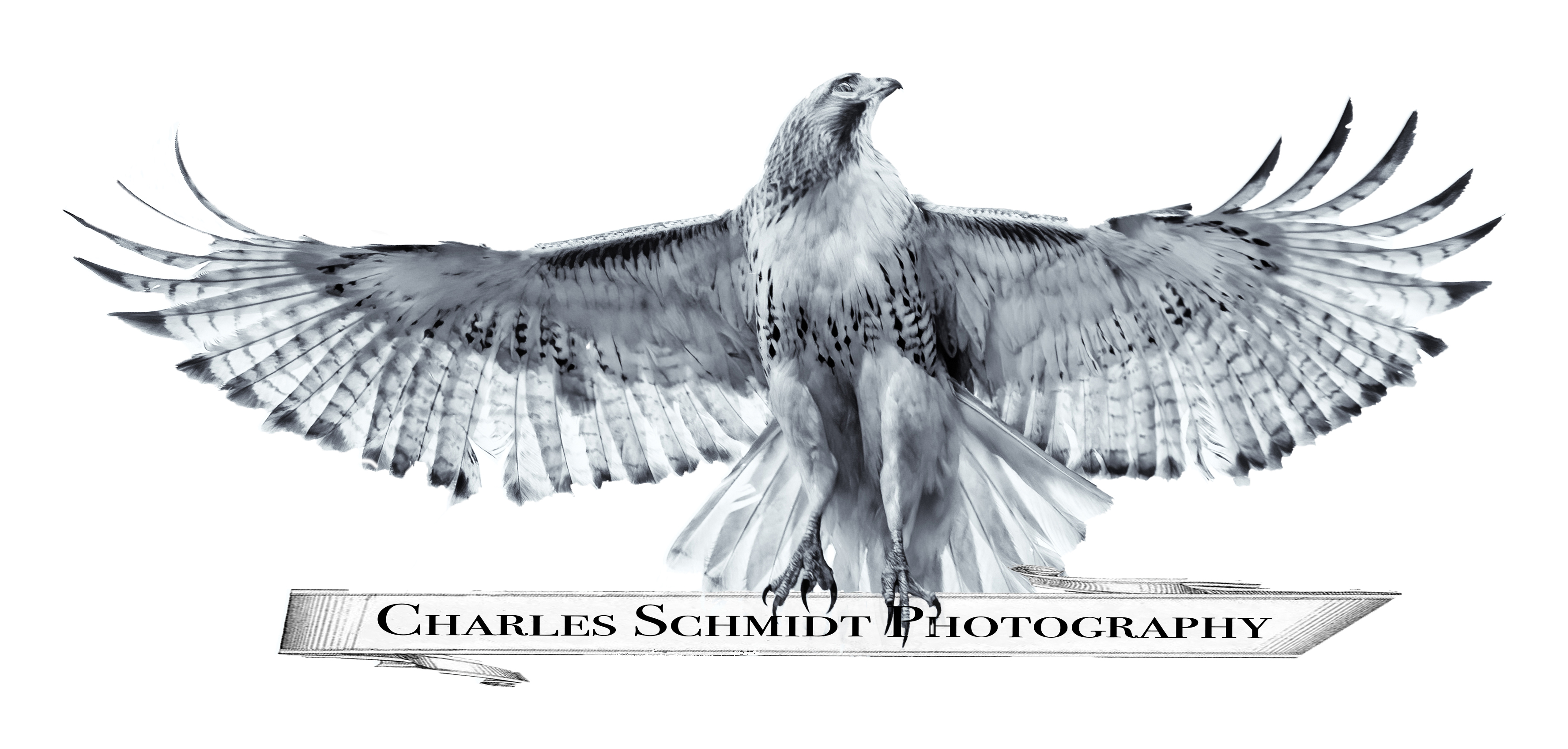 Charles Schmidt Photography