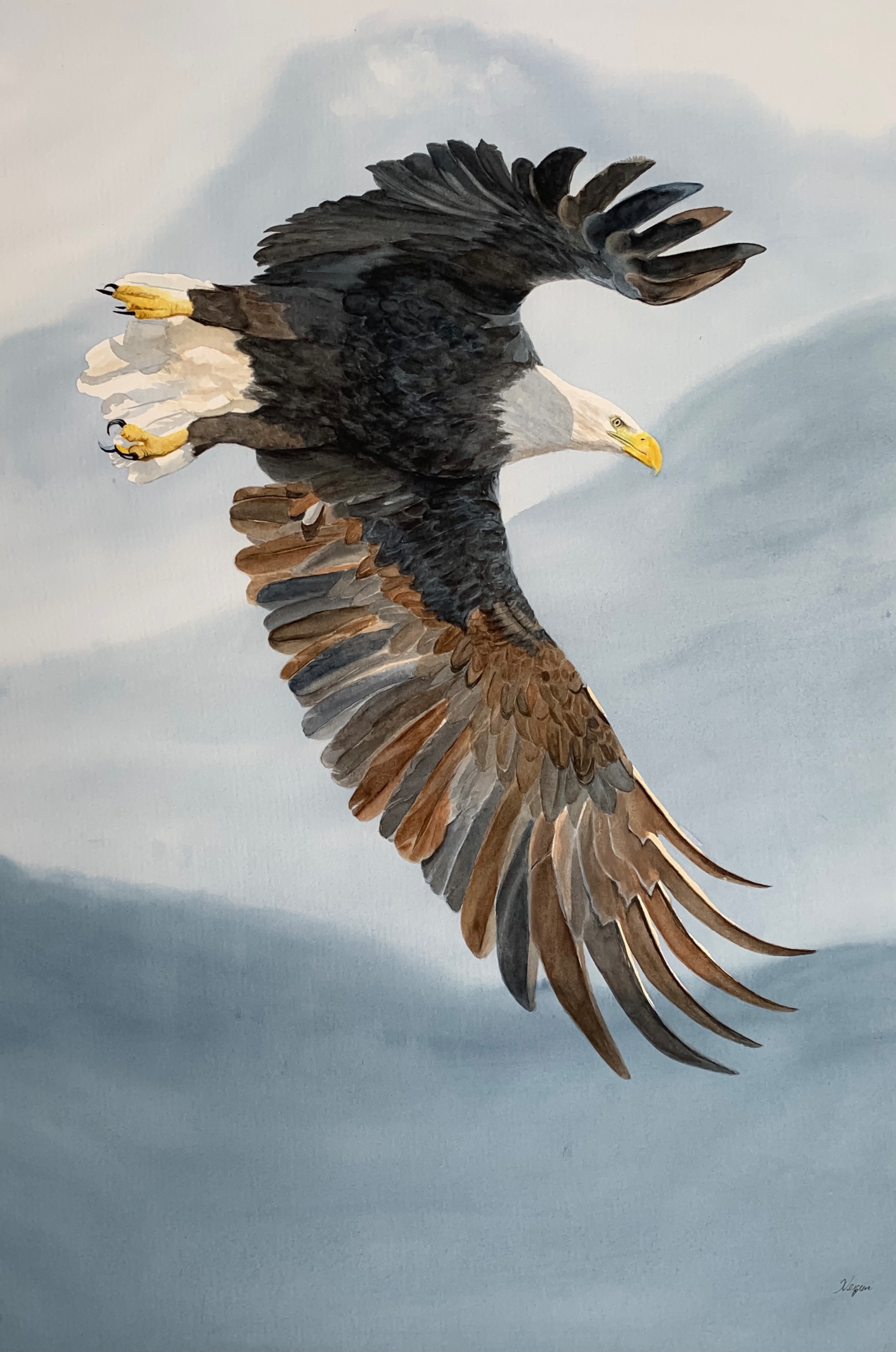 Stead fast eagle painting vucw0w