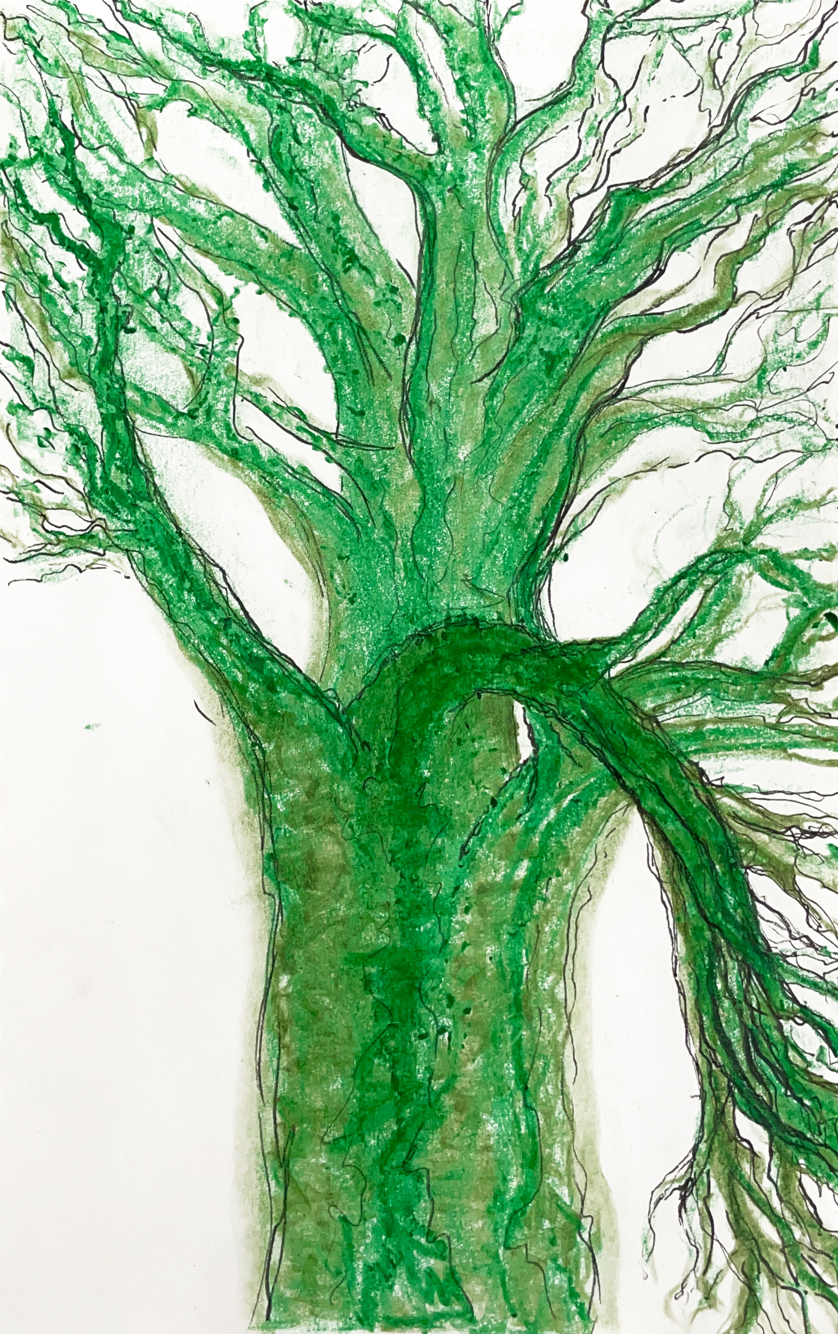 Greencrayon tree pxrvmt