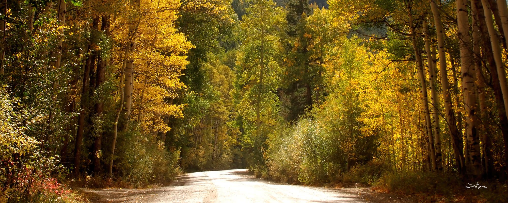 
        <div class='title'>
          Autumn Afternoon 10x4
        </div>
       