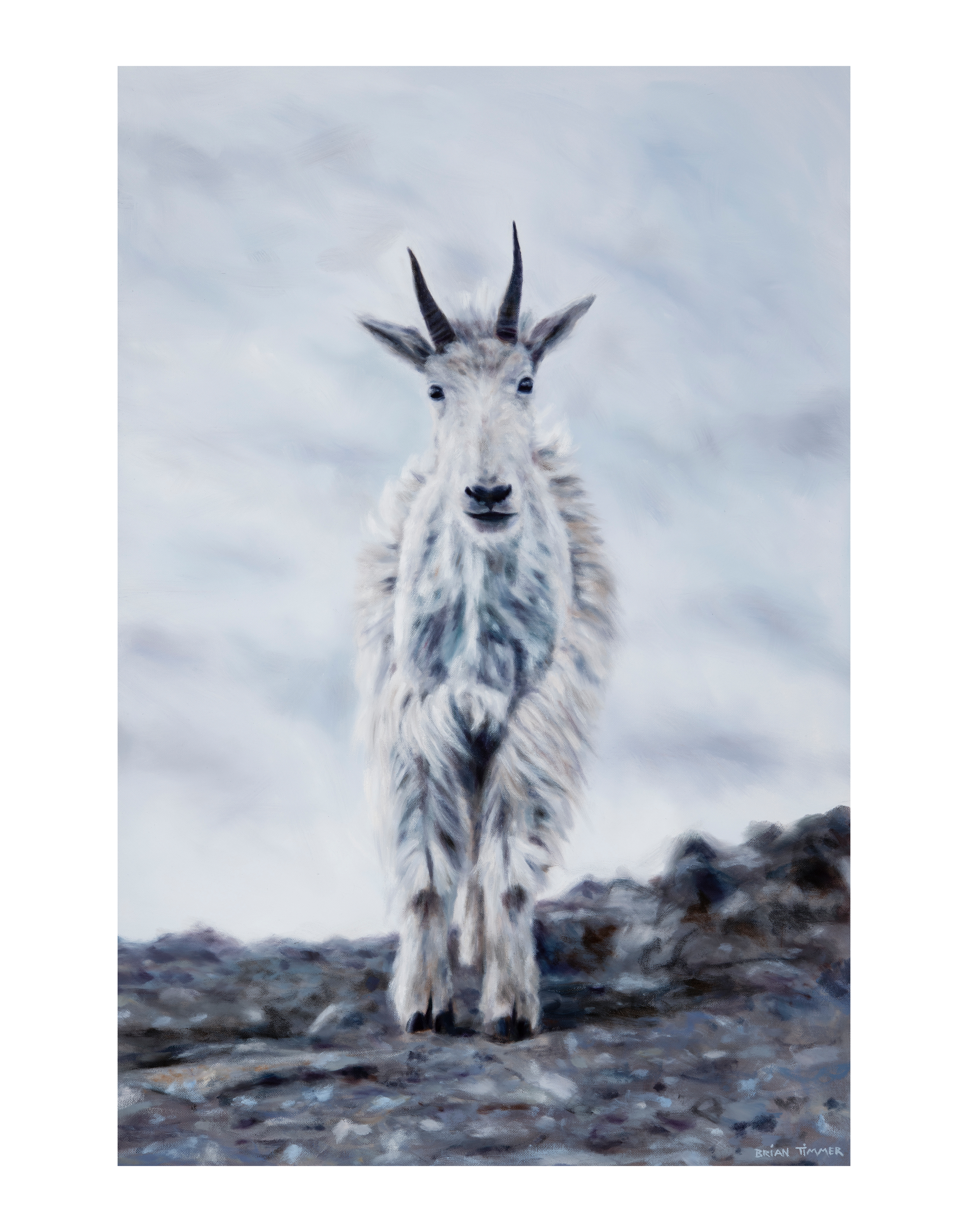 Mountain goat 11x14 onkscc