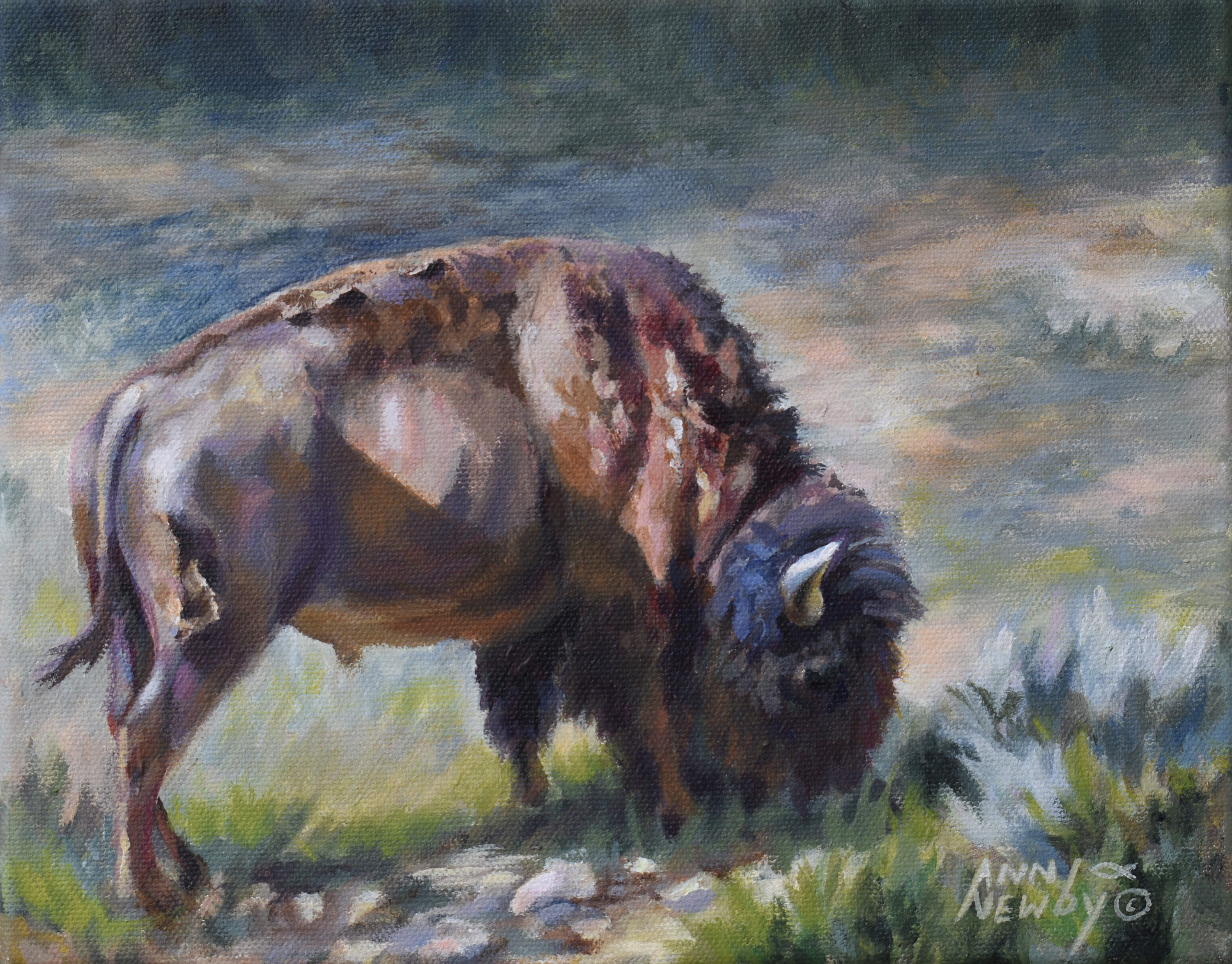 Browsing bison 2421 sneff9