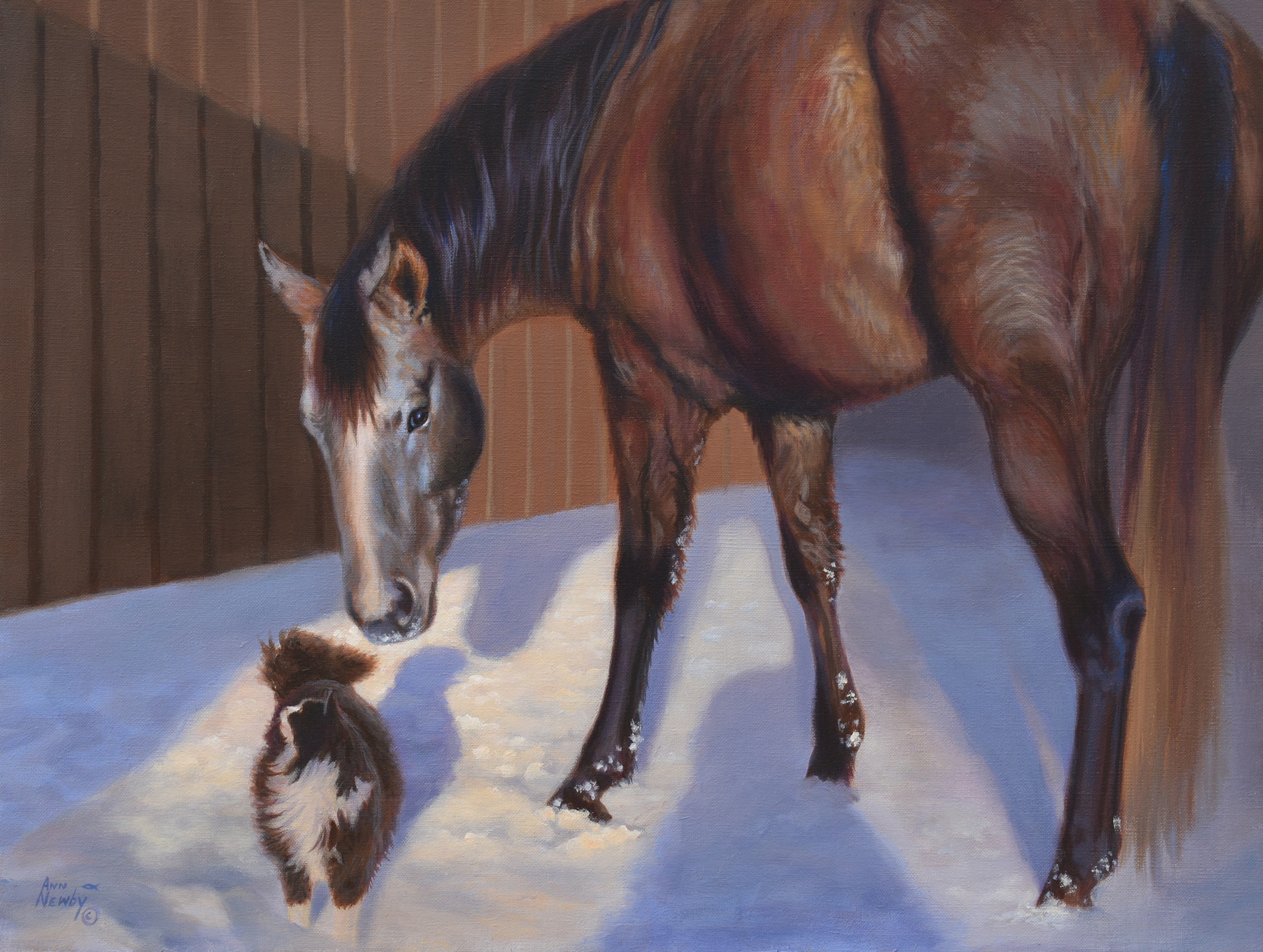 Barn buddies ann 0392 jxnnni