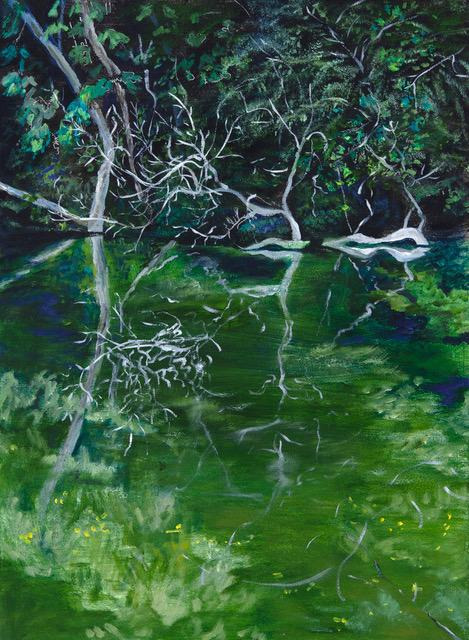 Reflections on edens pond 30 x 22 2000  board etzm7s