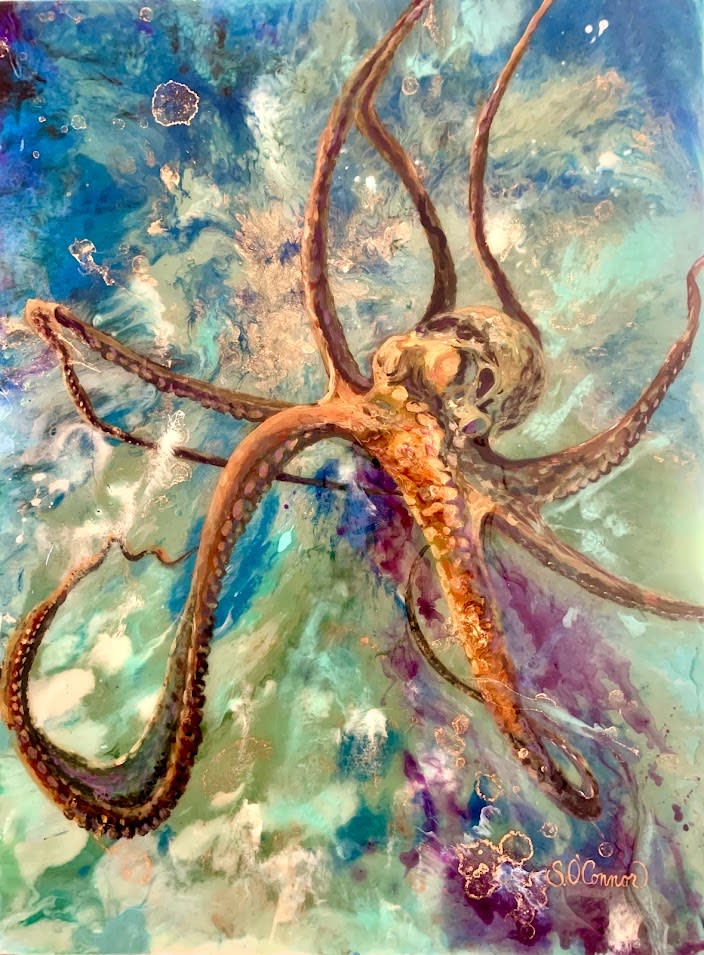 My octopus vniokz