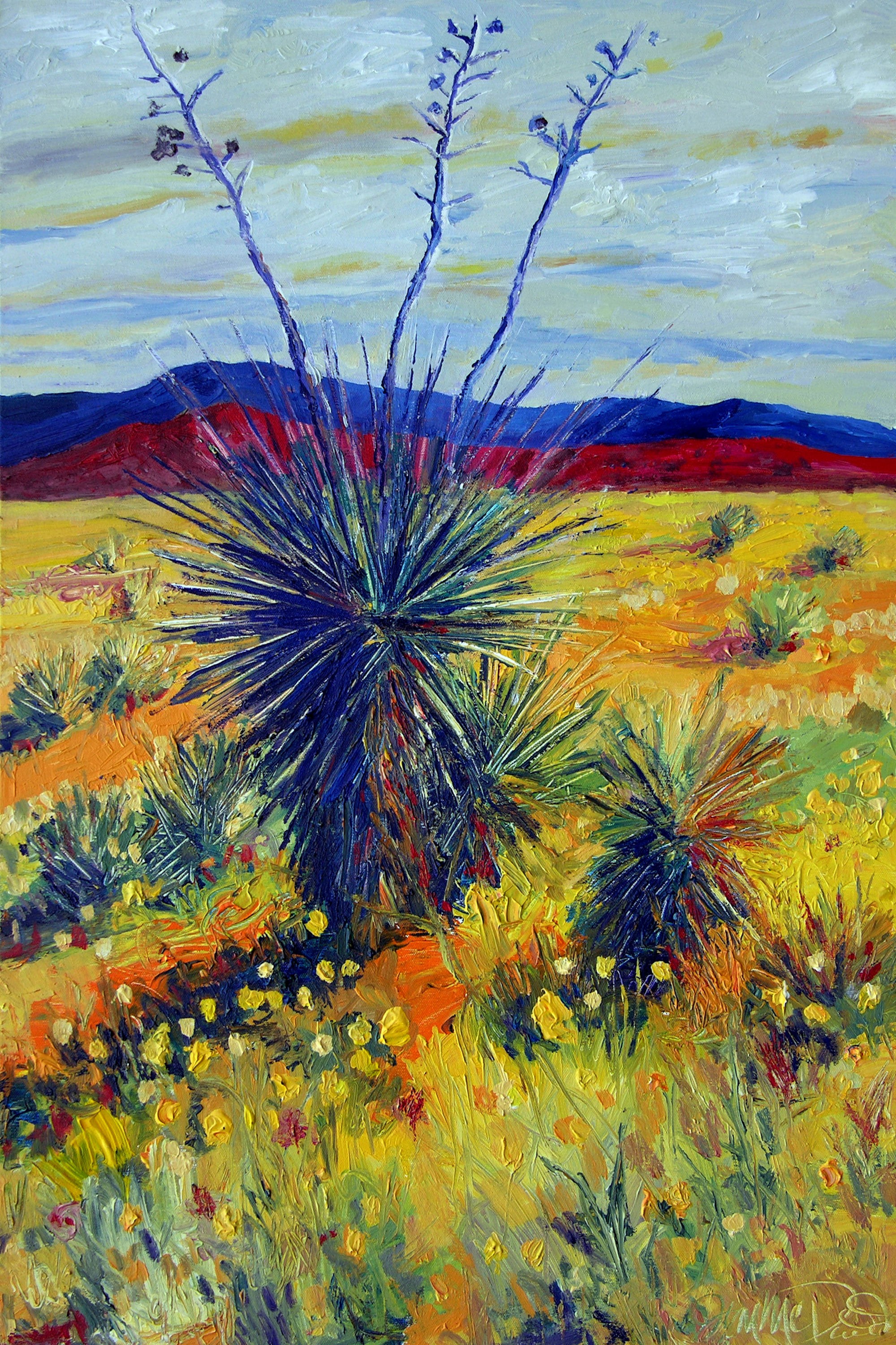 Desert blooms wxbecg