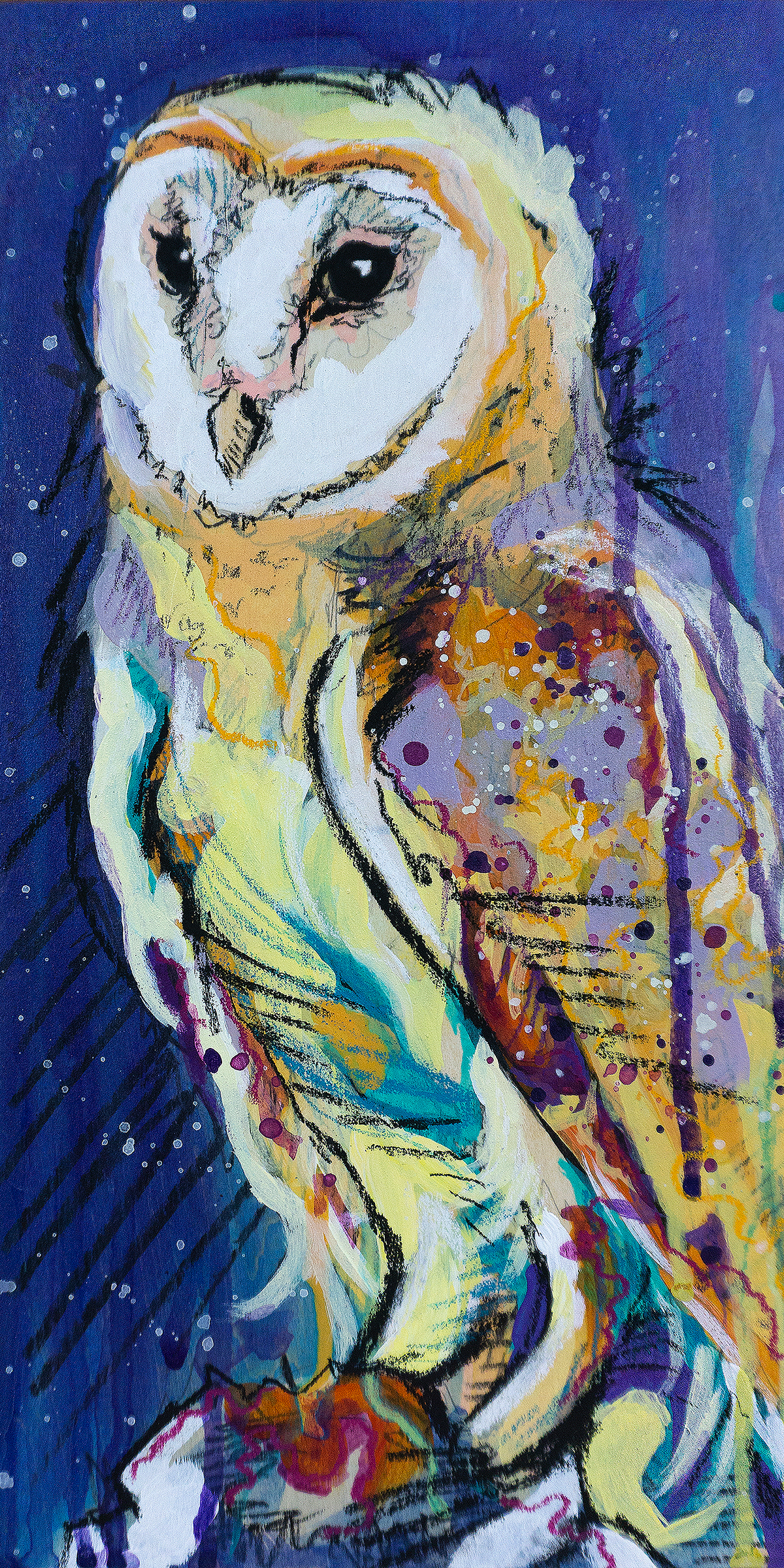 Starry barn owl final original kkr9fj