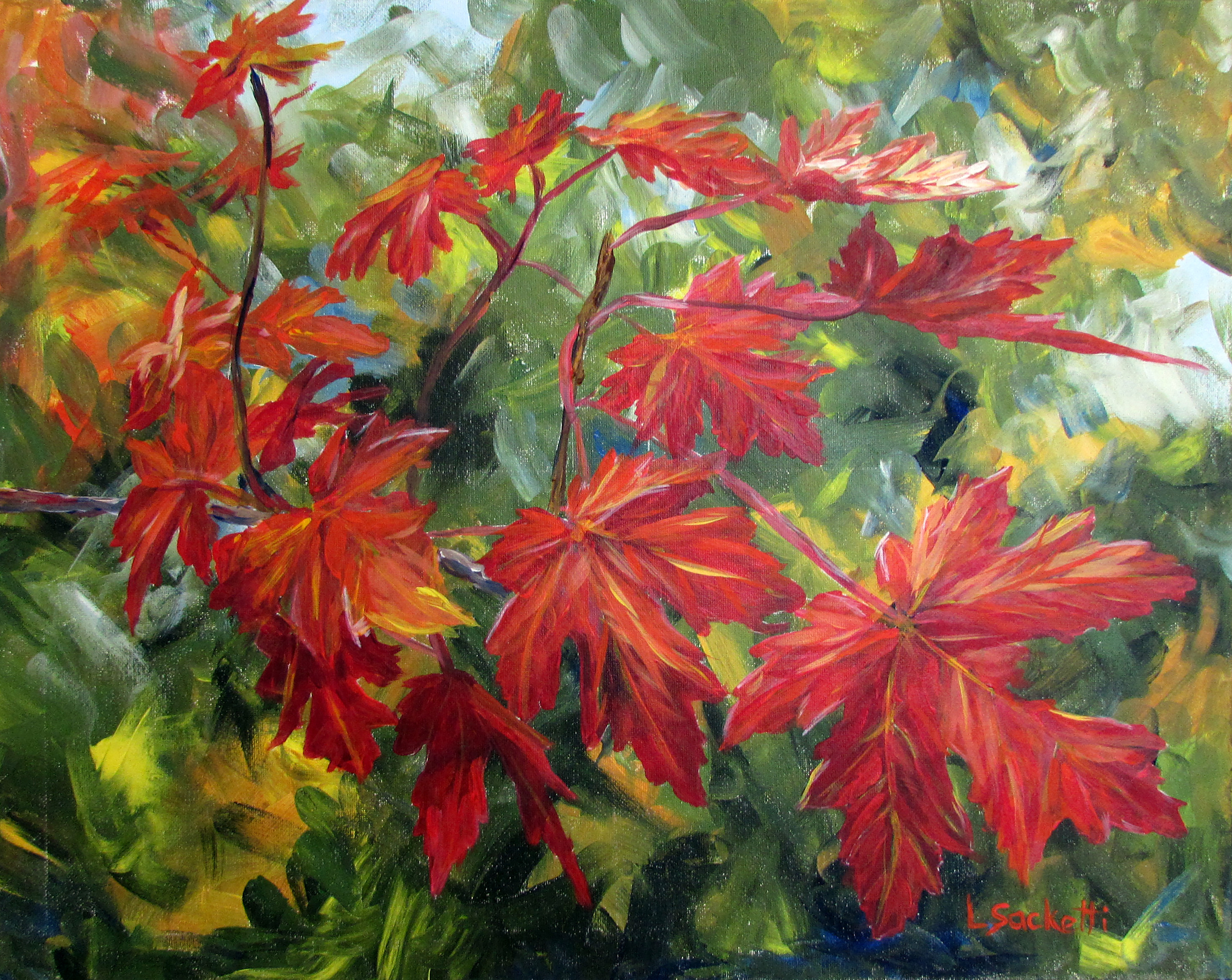 Red maple leaves ebzi8f